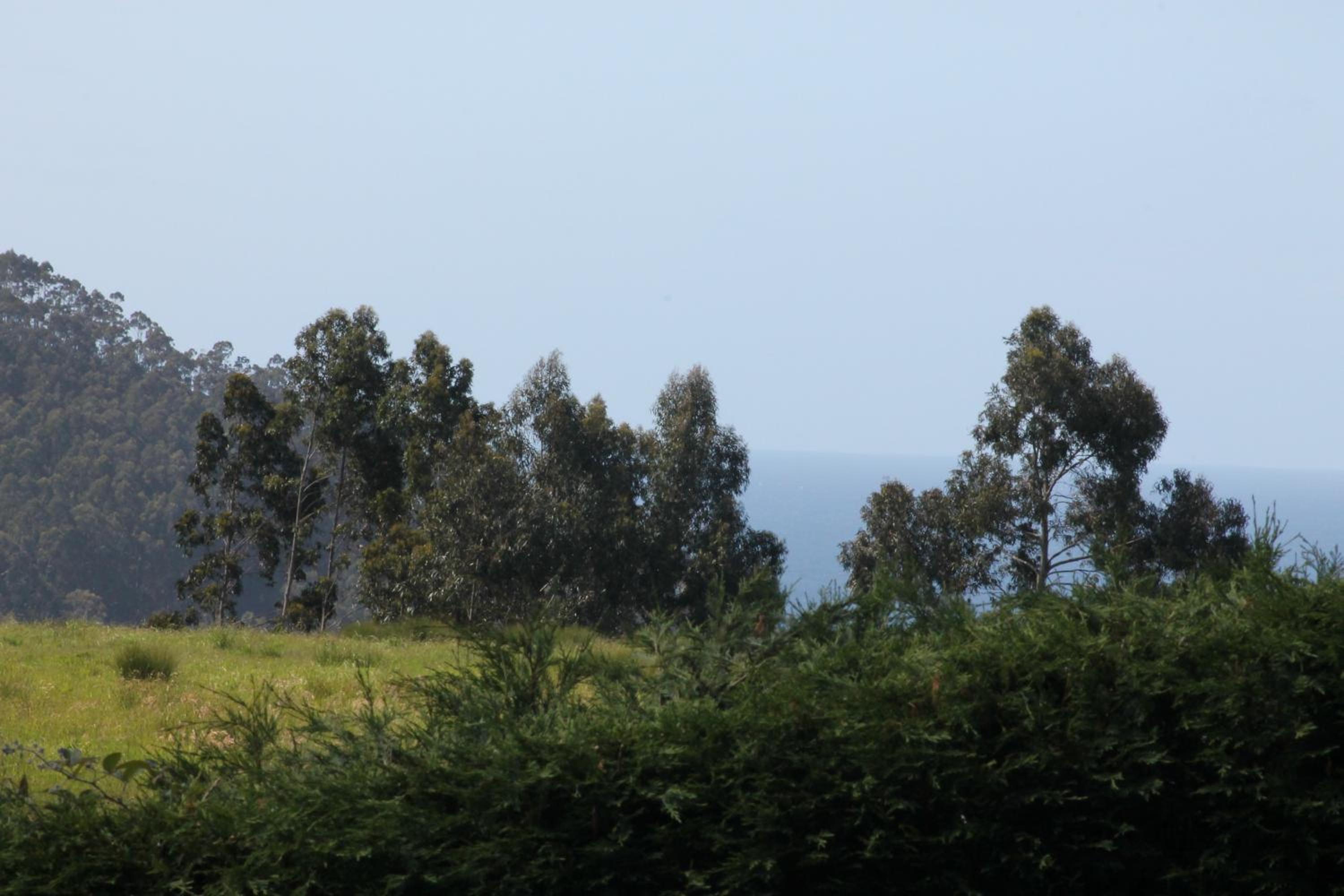 La Xana Ribadesella