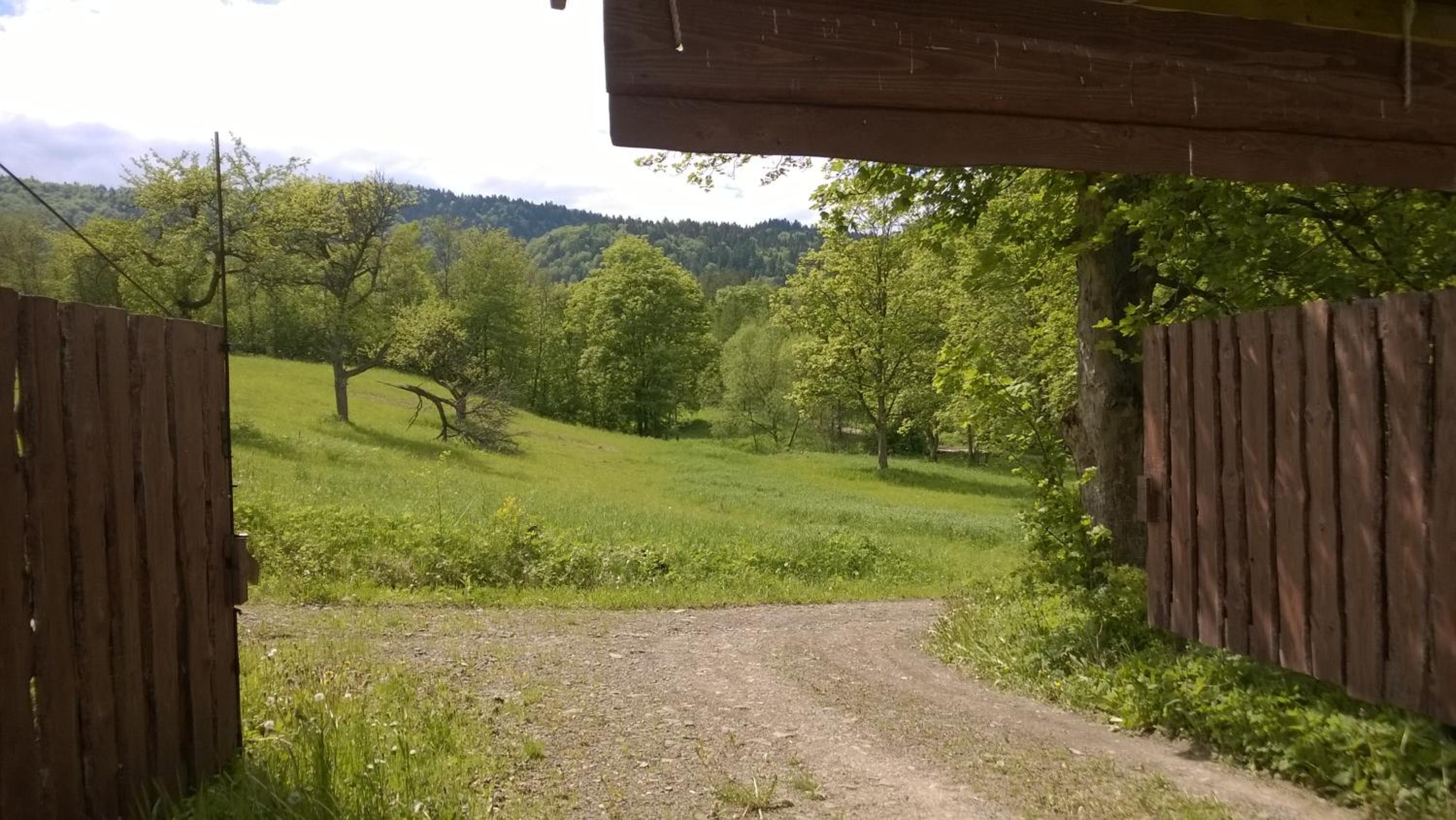 Photo 17