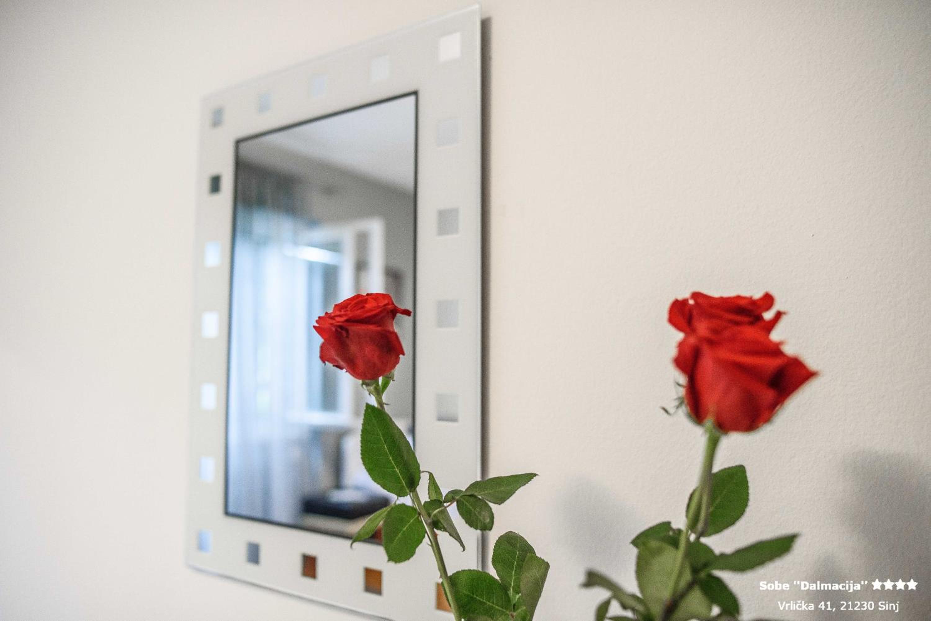 Apartment/Room ''Dalmacija'' SINJ, photo 12