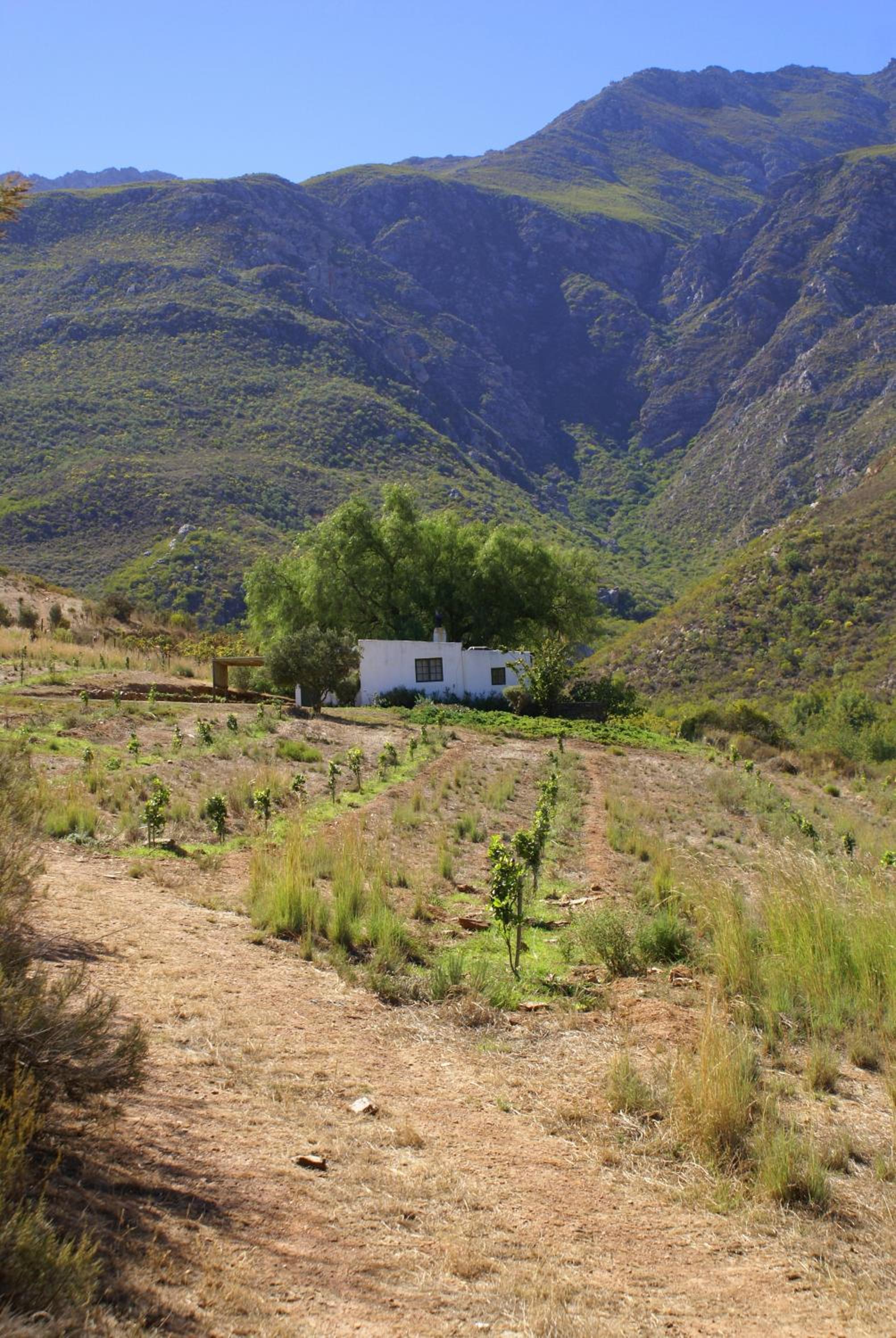 Tierhoek Cottages