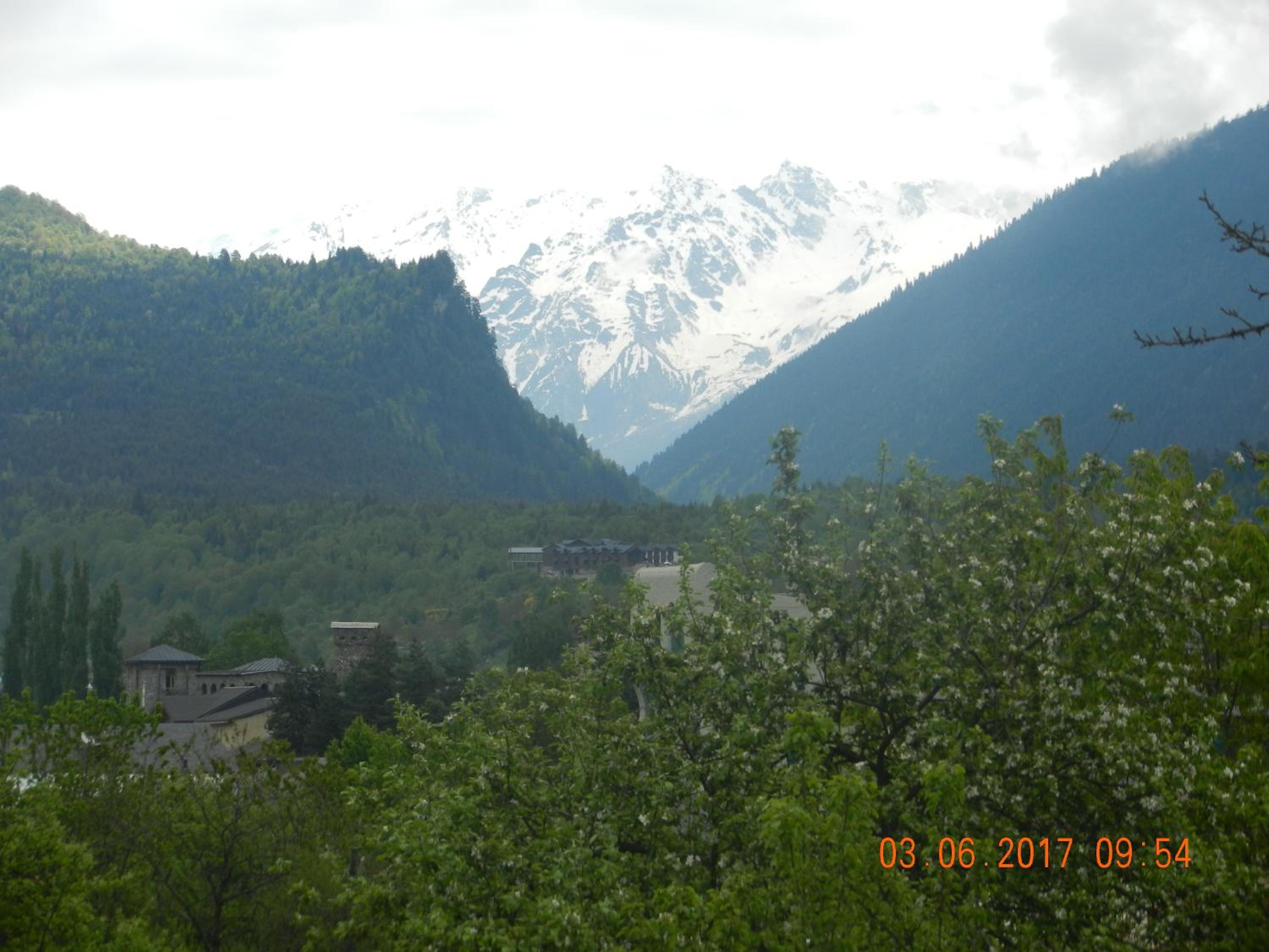 Photo 54