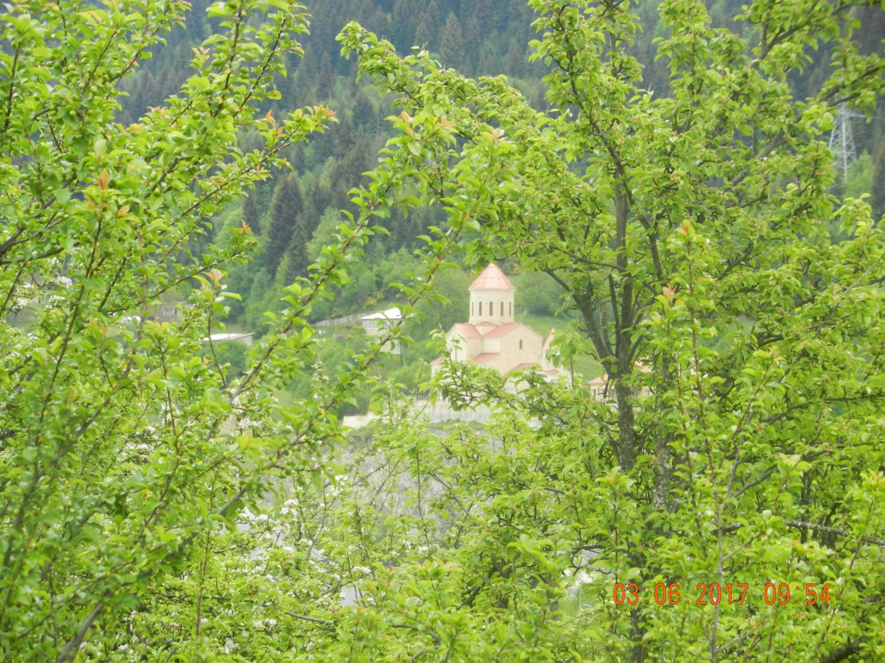 Photo 55