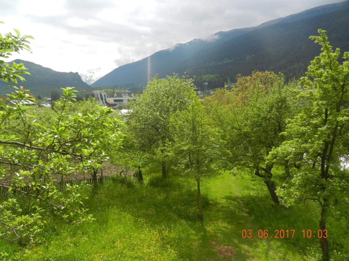 Photo 52