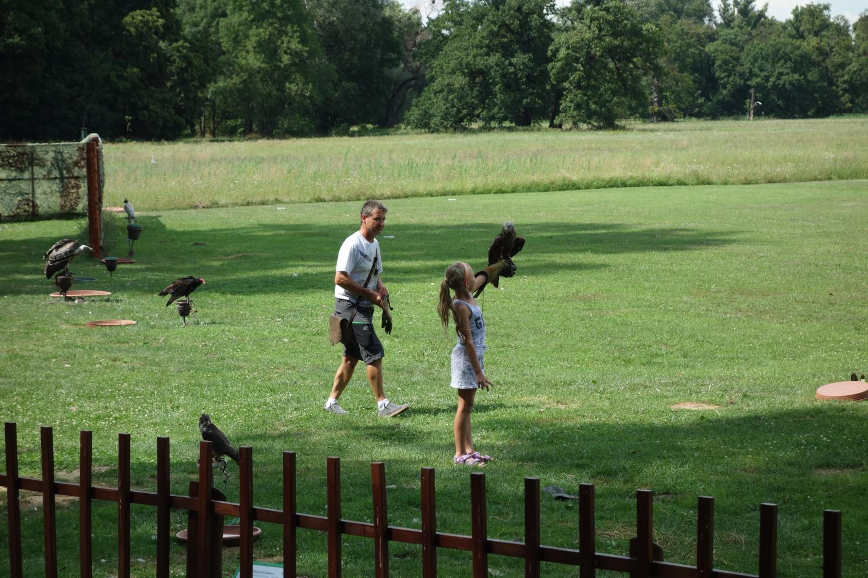Photo 24