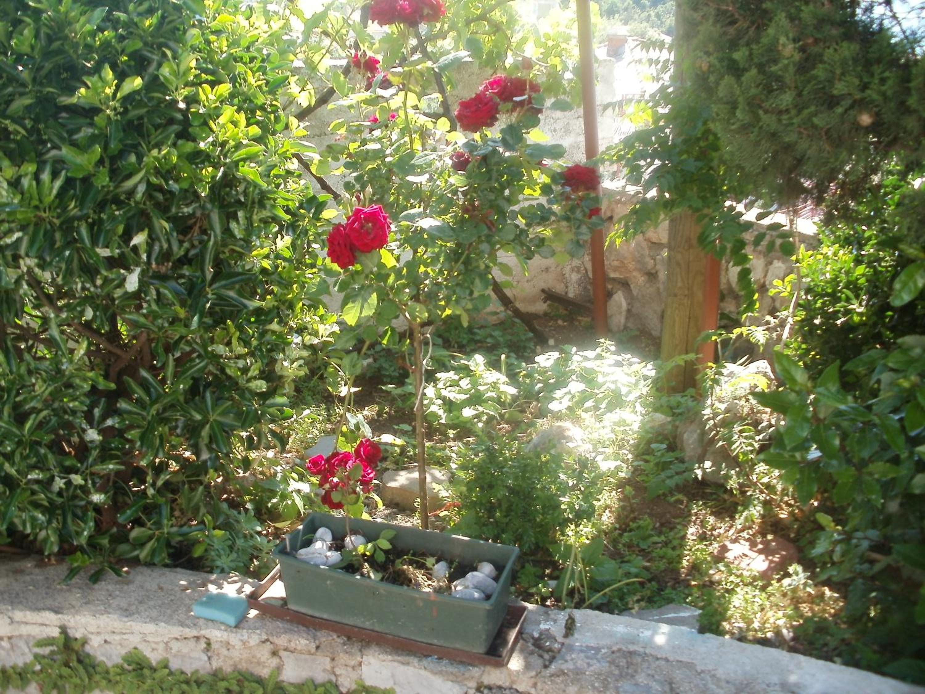 Photo 28