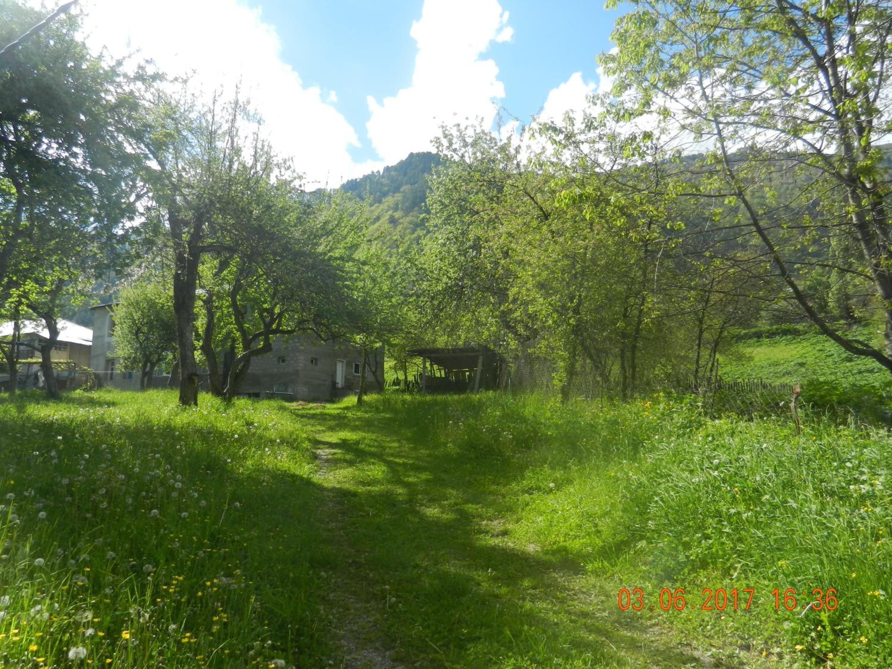 Photo 46