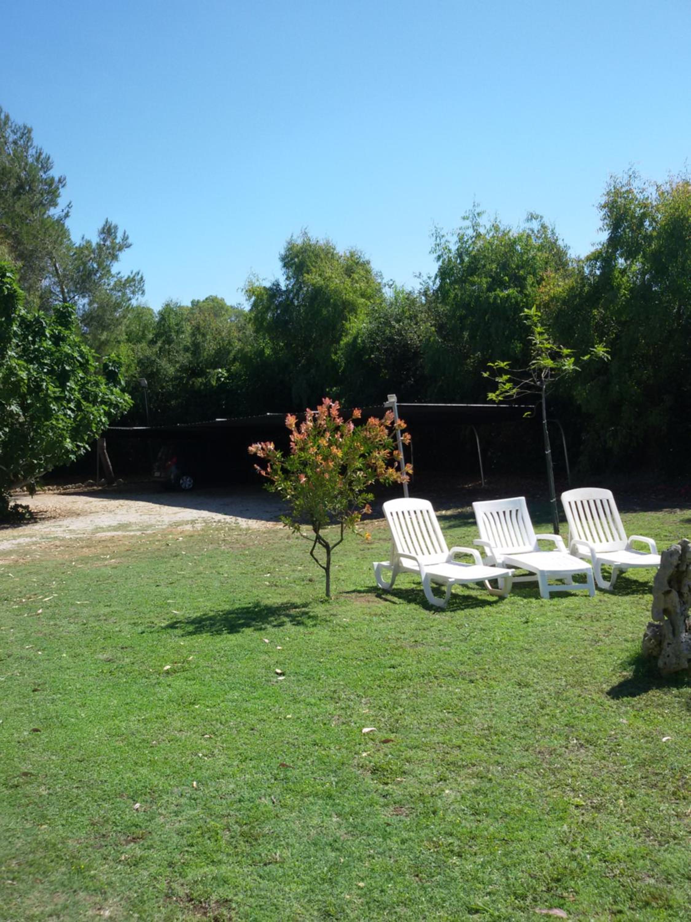 Photo 44