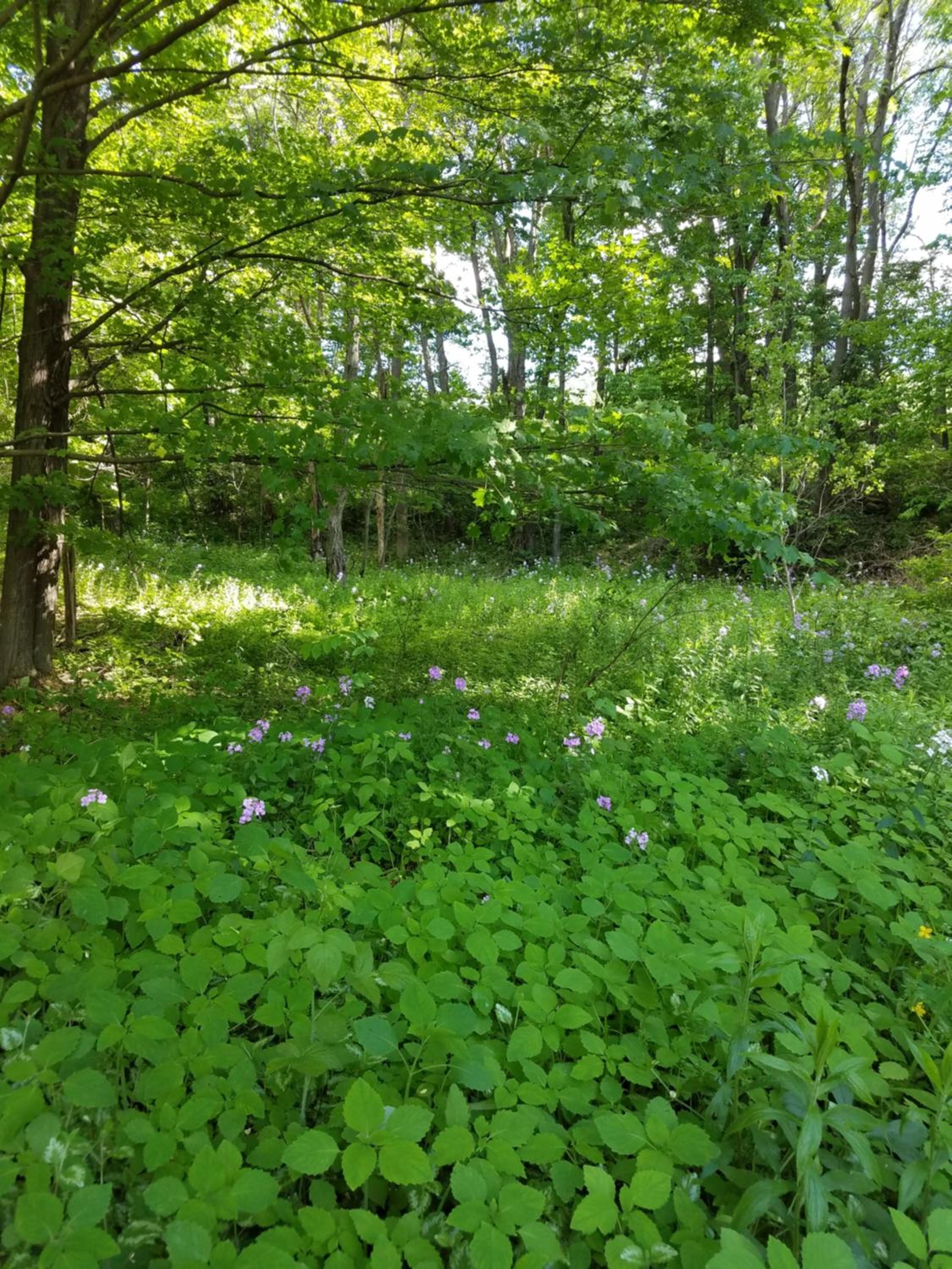 Photo 26