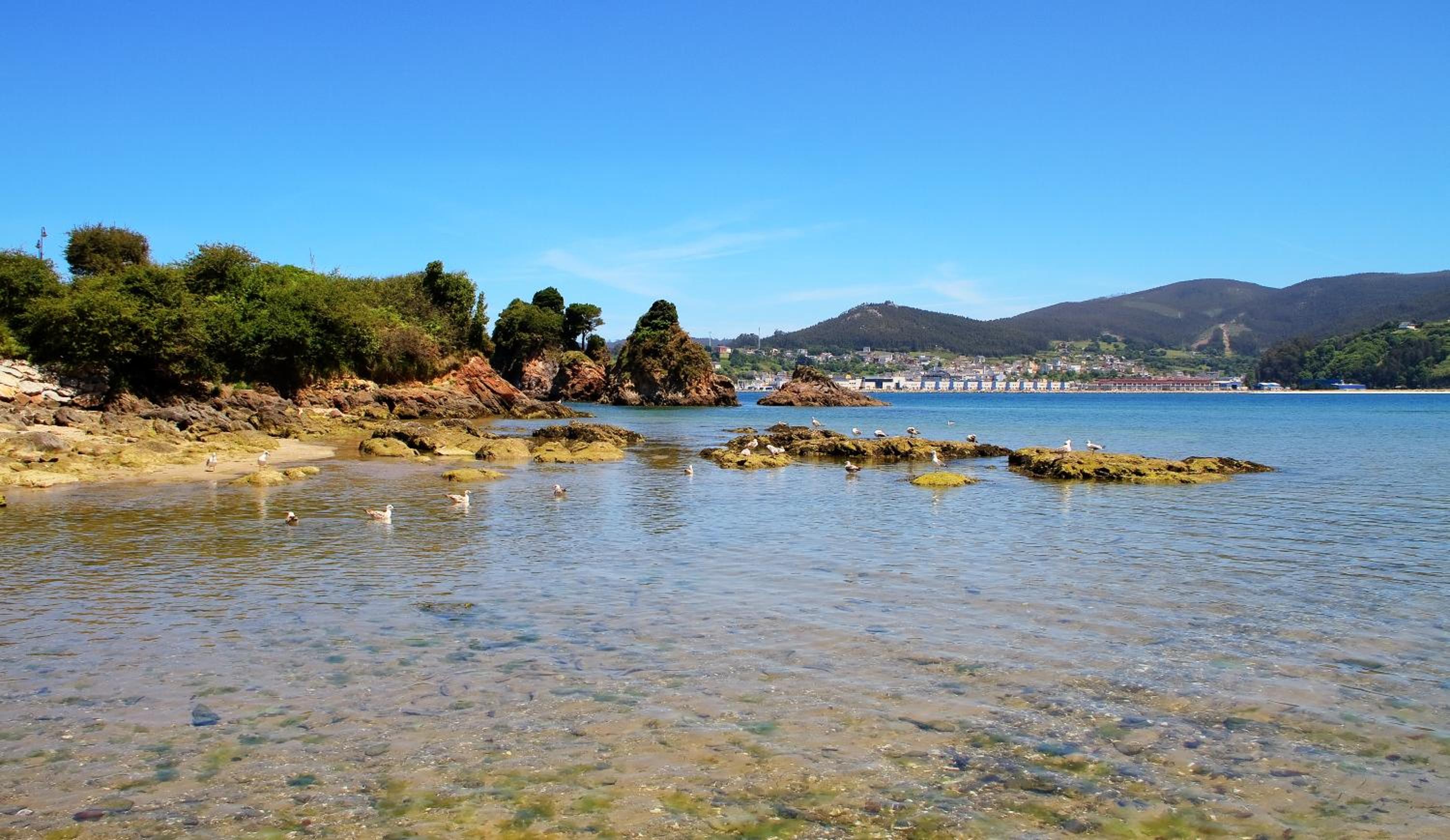 Duerming Sea View Viveiro