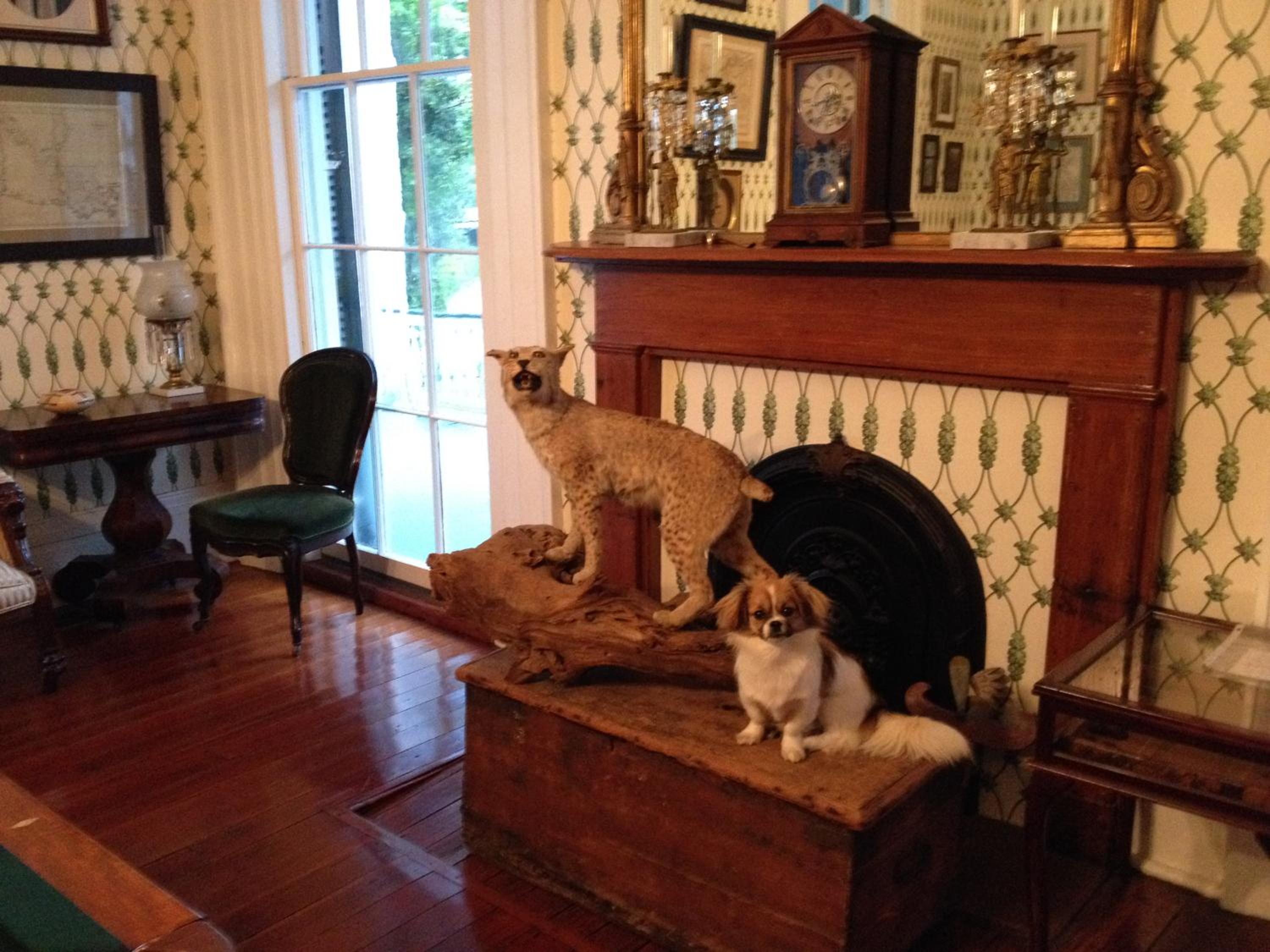 Stone House Musical B&B