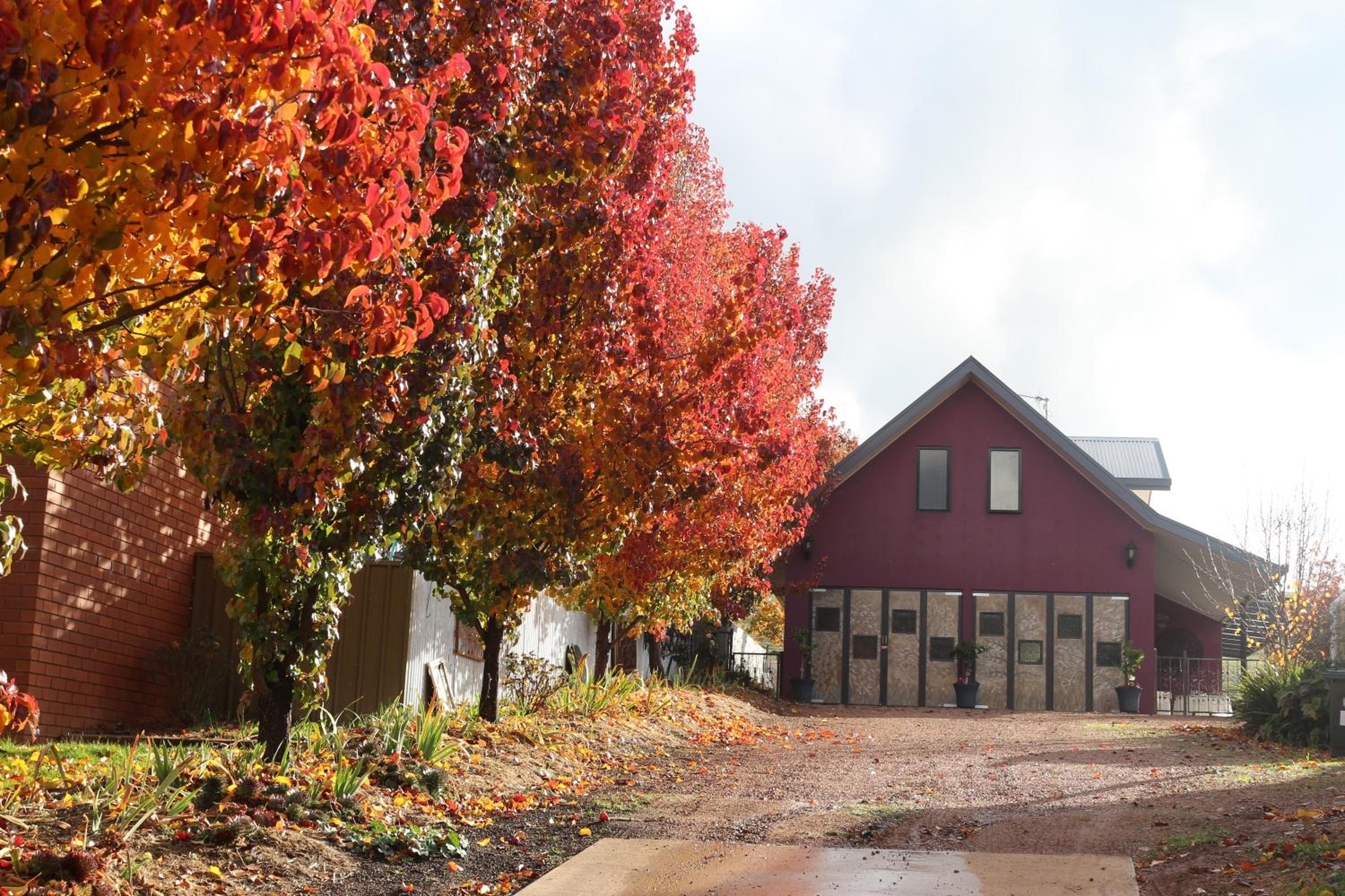 Magenta Cottage