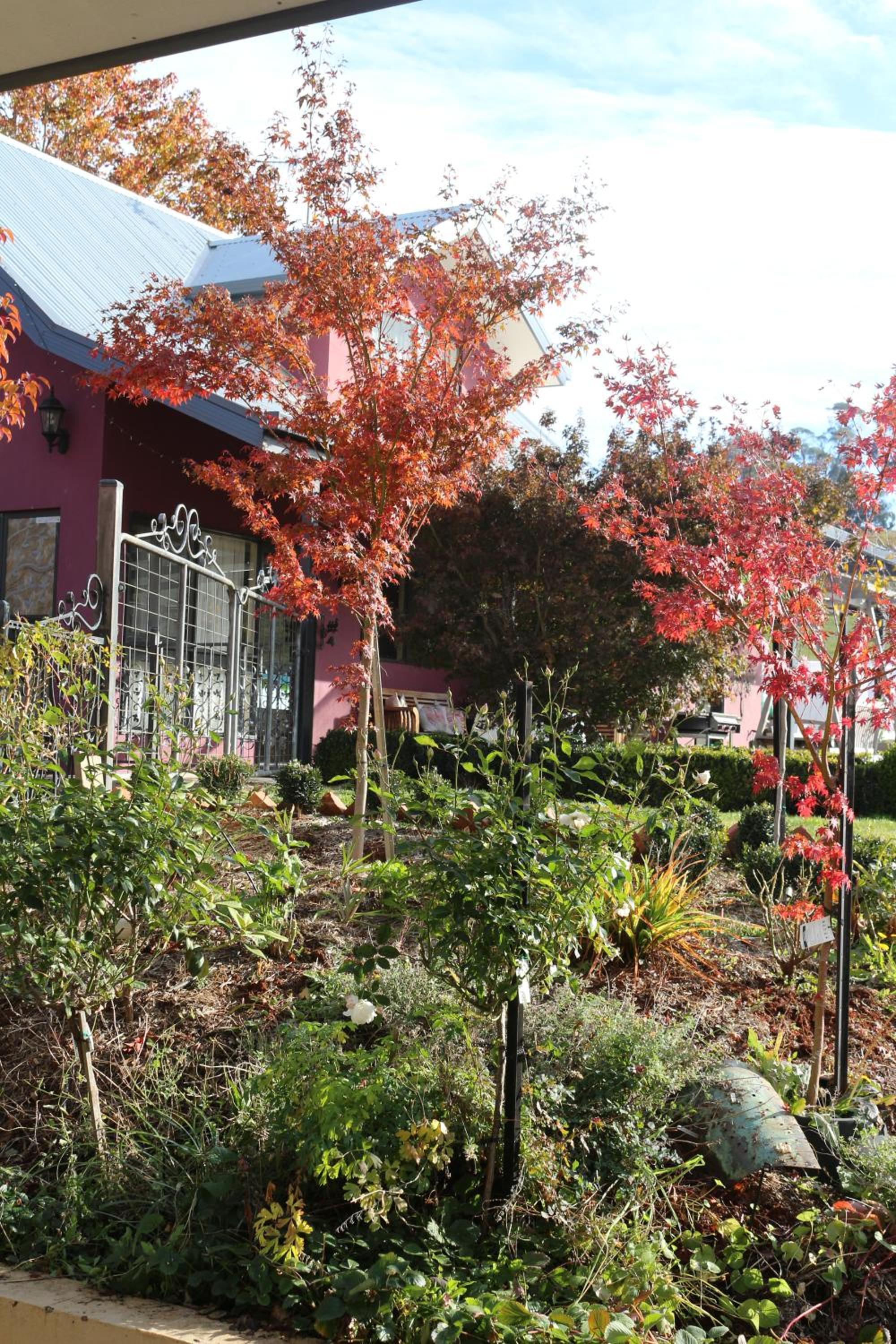 Magenta Cottage