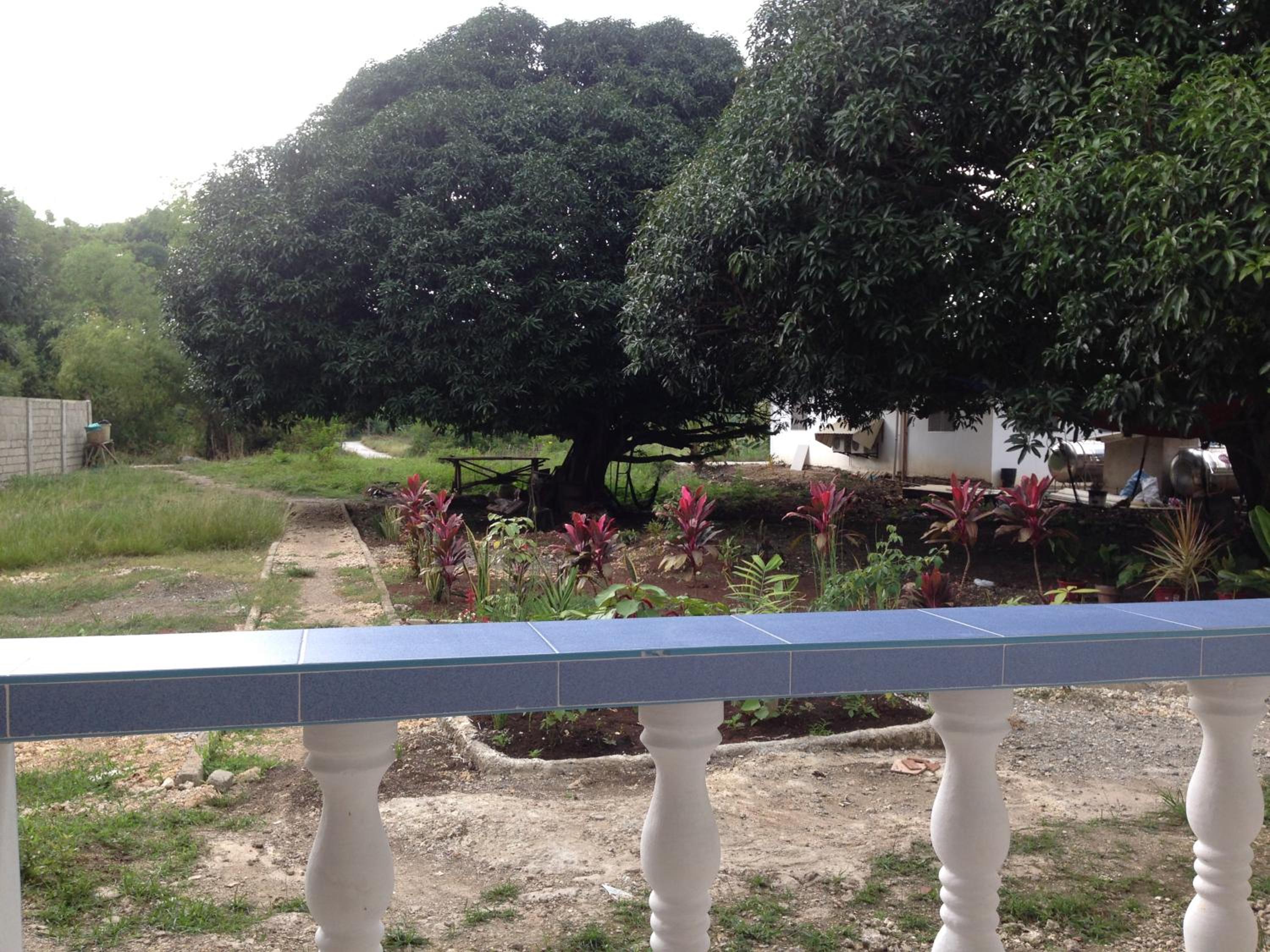 Mangoes Place view 2