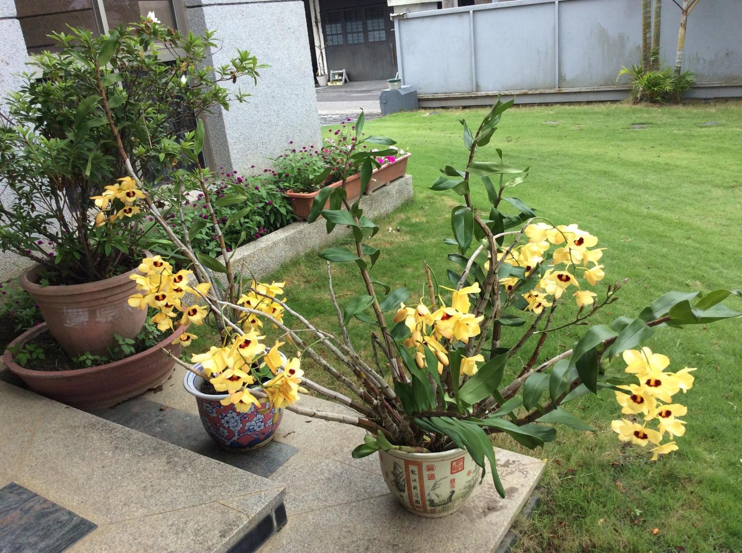 Photo 29