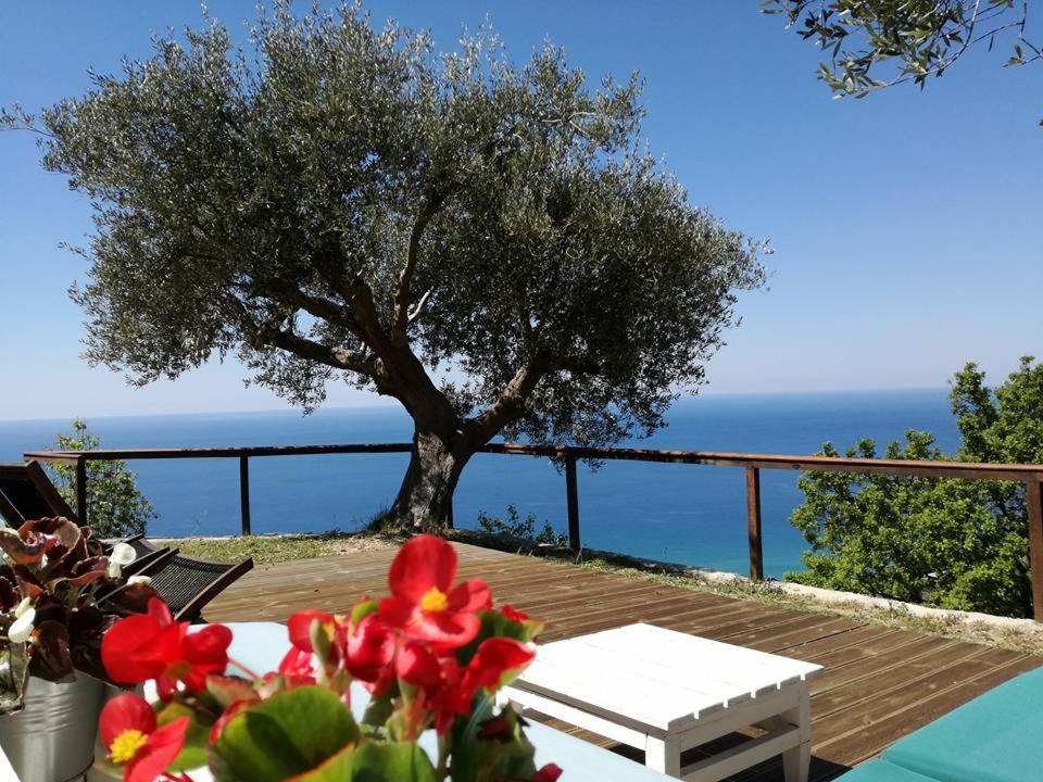Villa Serra d'Elci