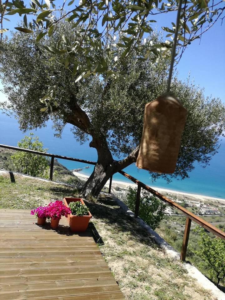 Villa Serra d'Elci