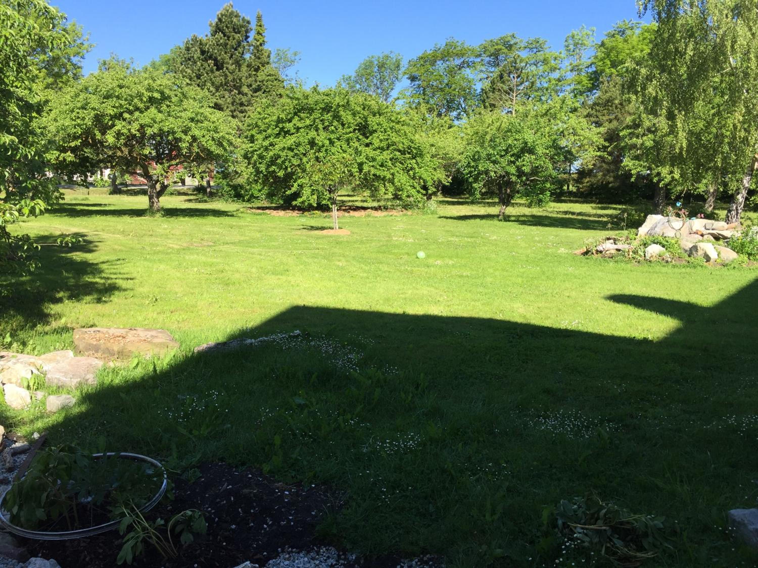 Photo 29