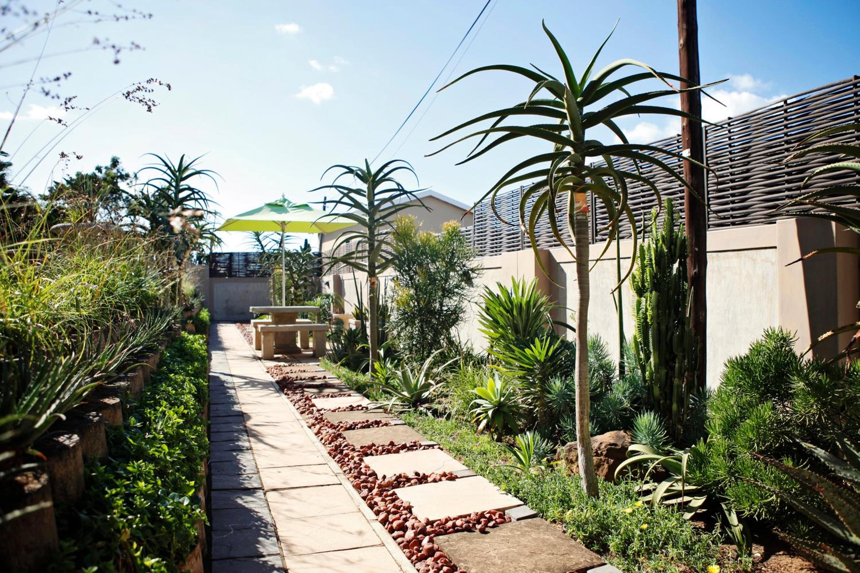 Aloes No.21