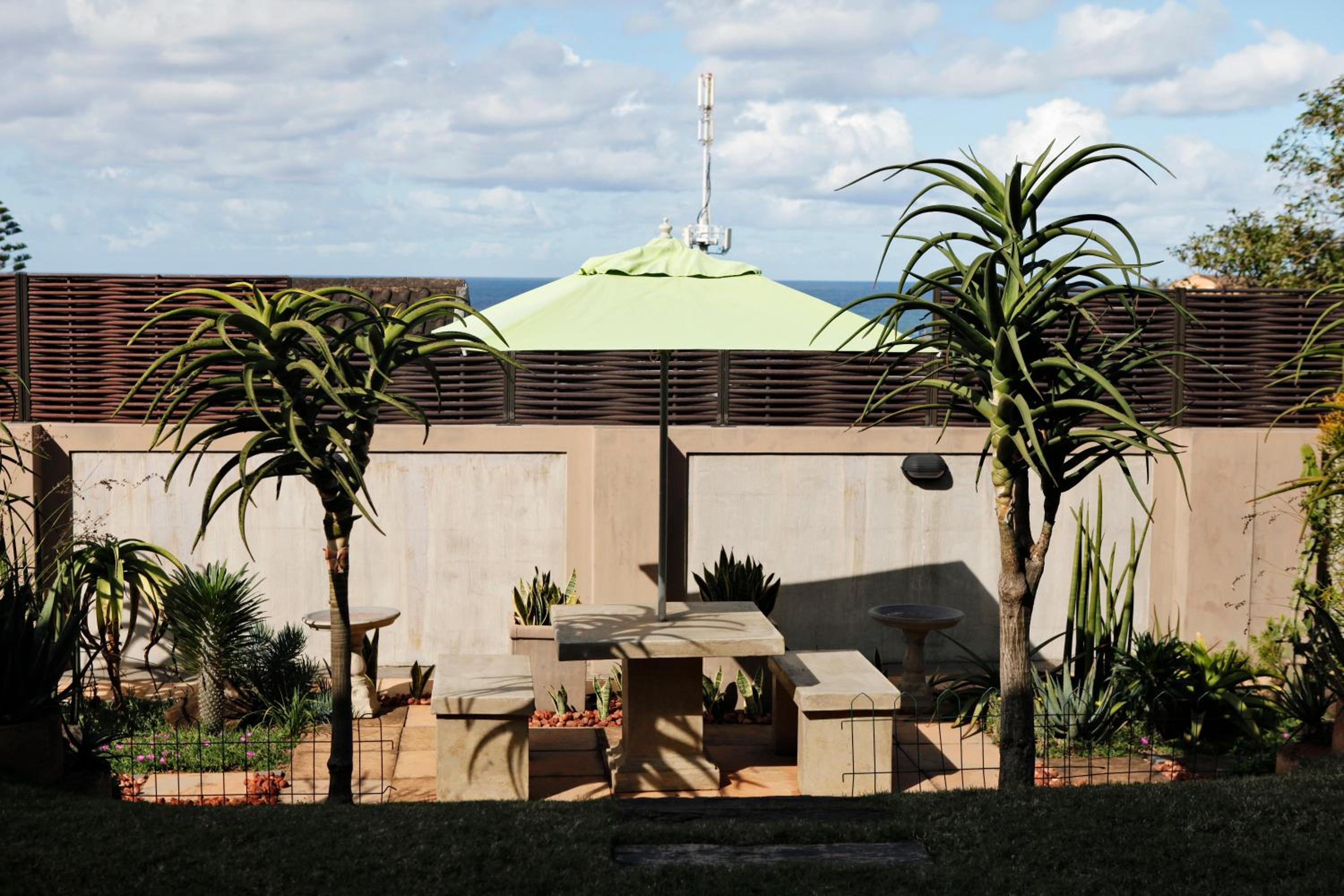 Aloes No.21