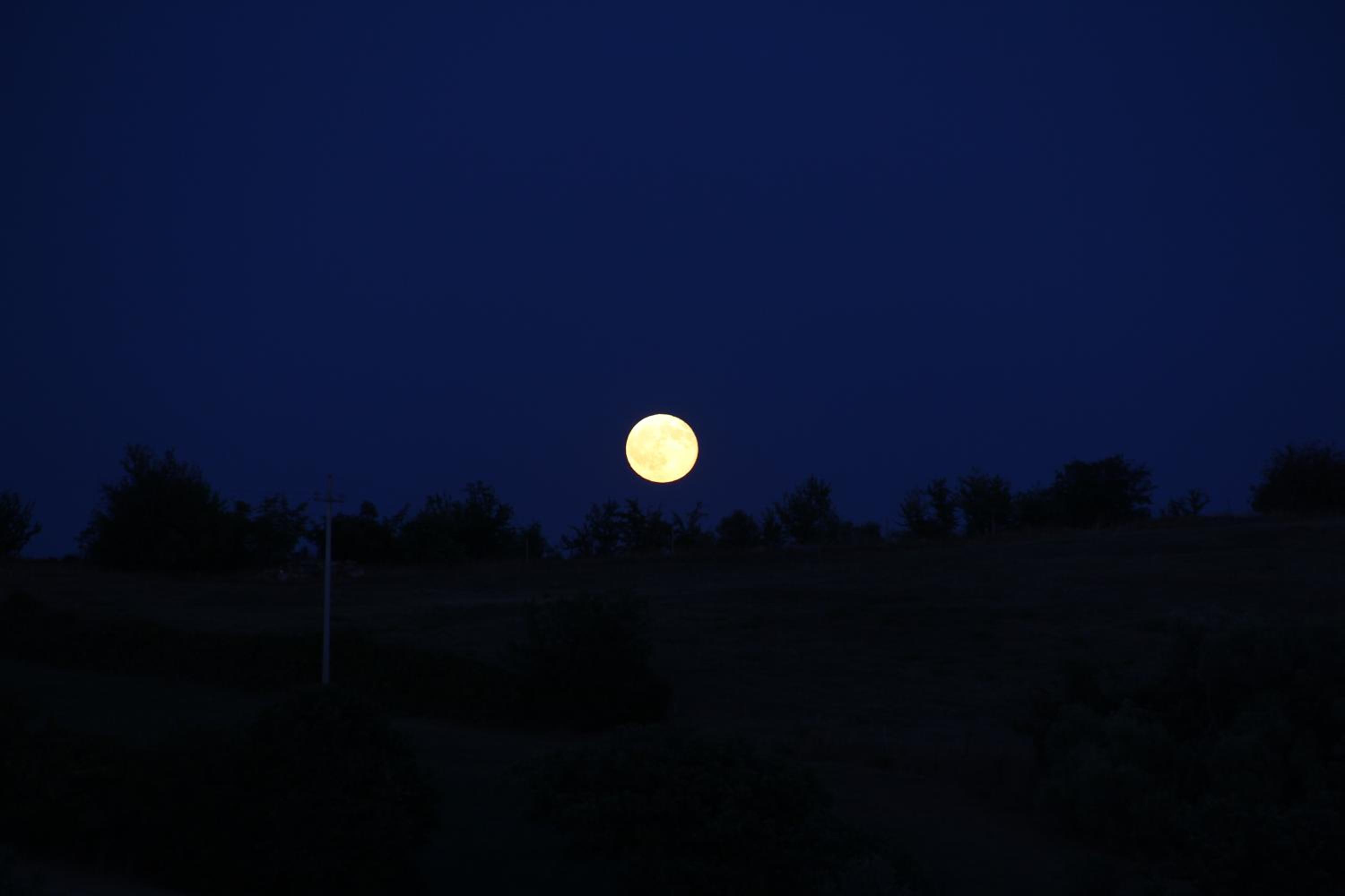 Photo 33