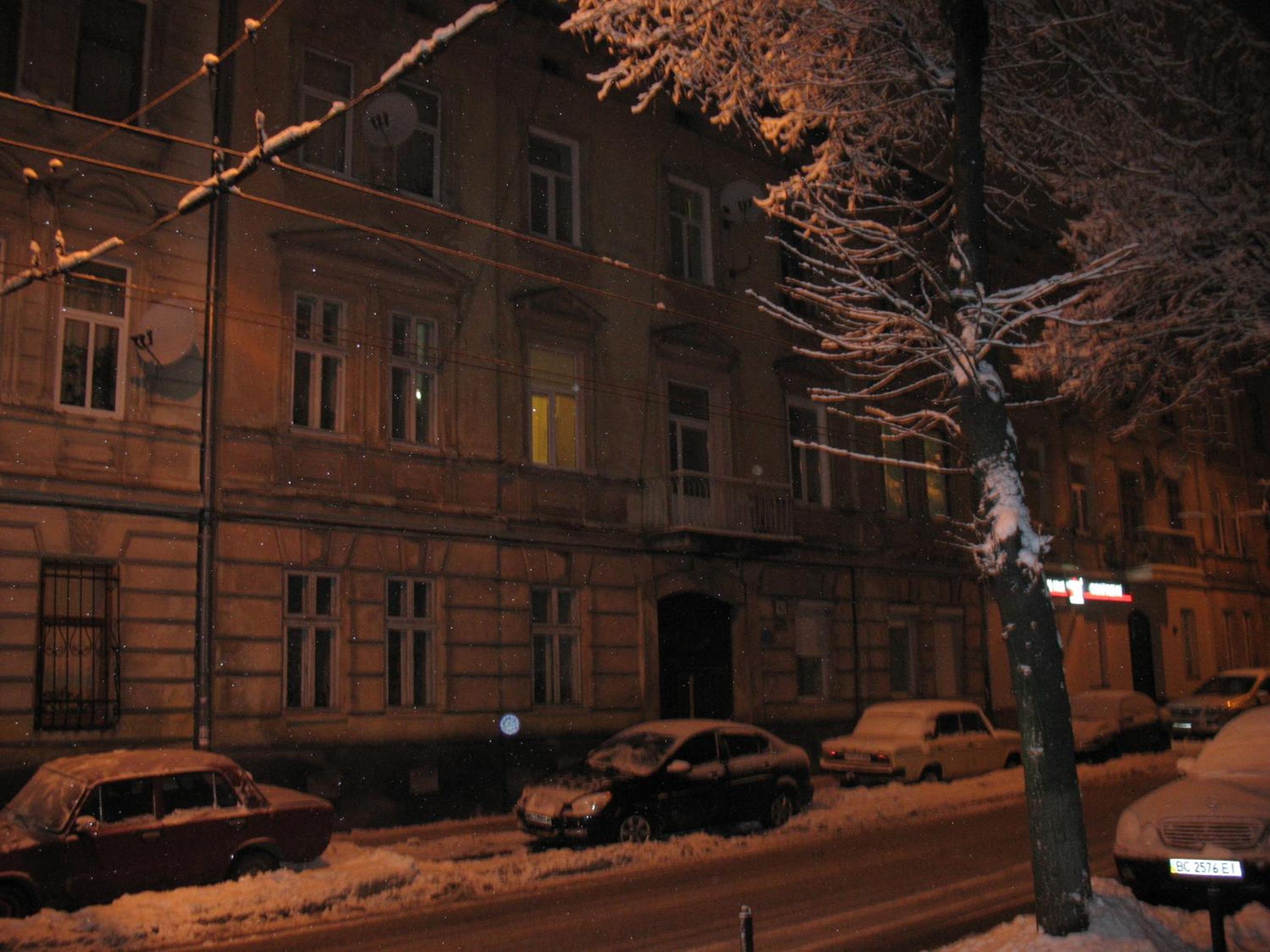 Photo 46