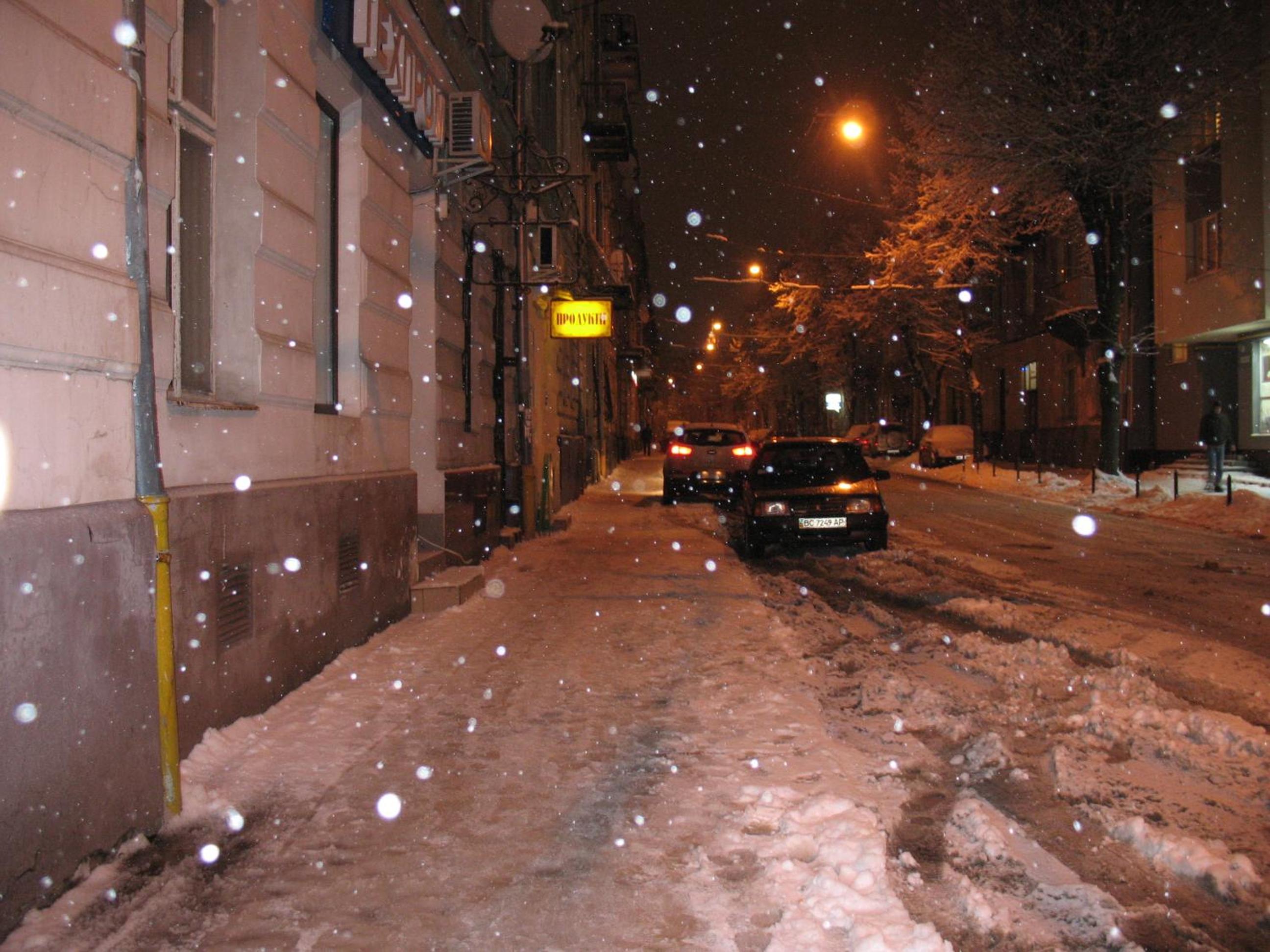 Photo 44