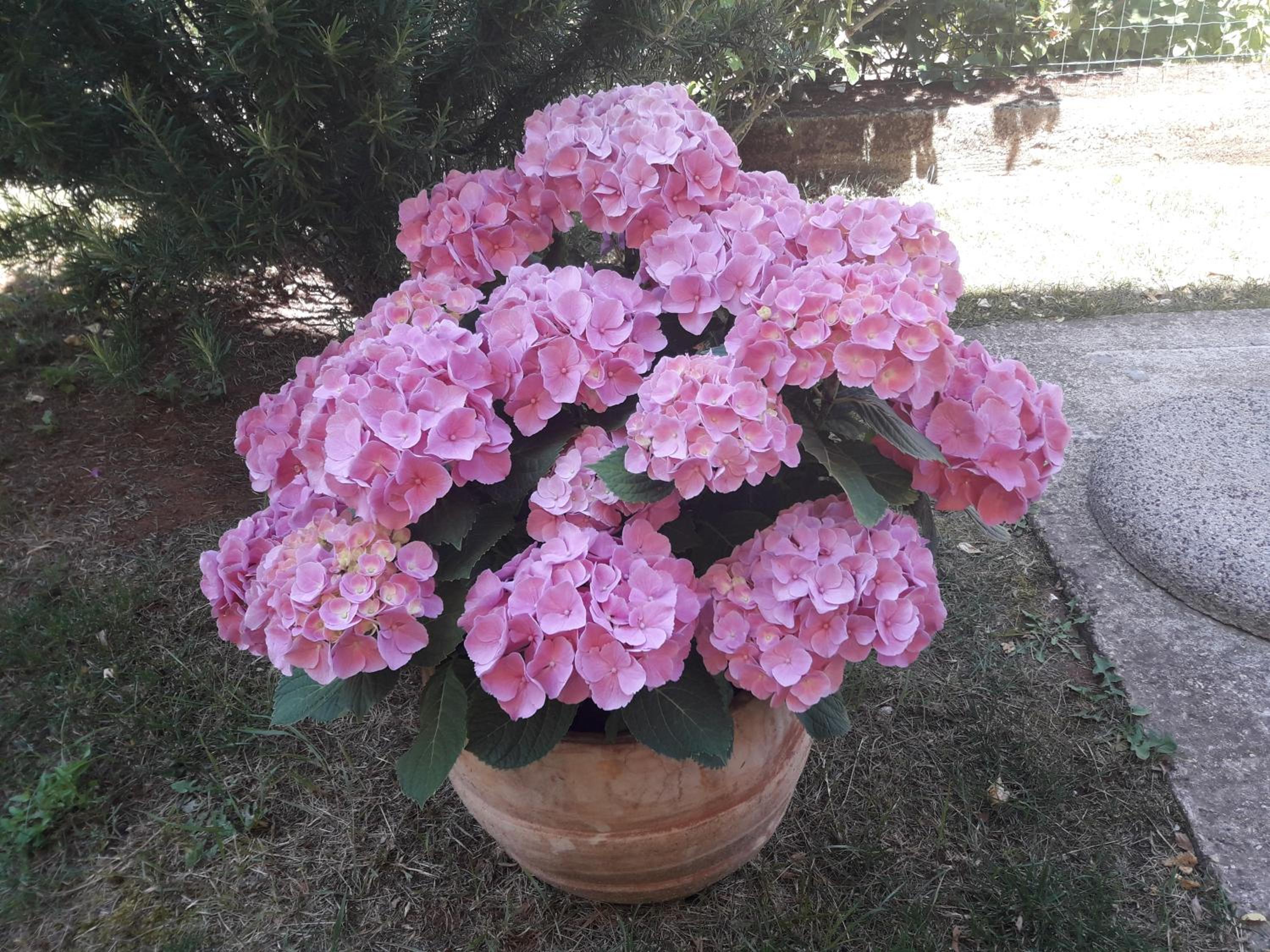 Photo 31