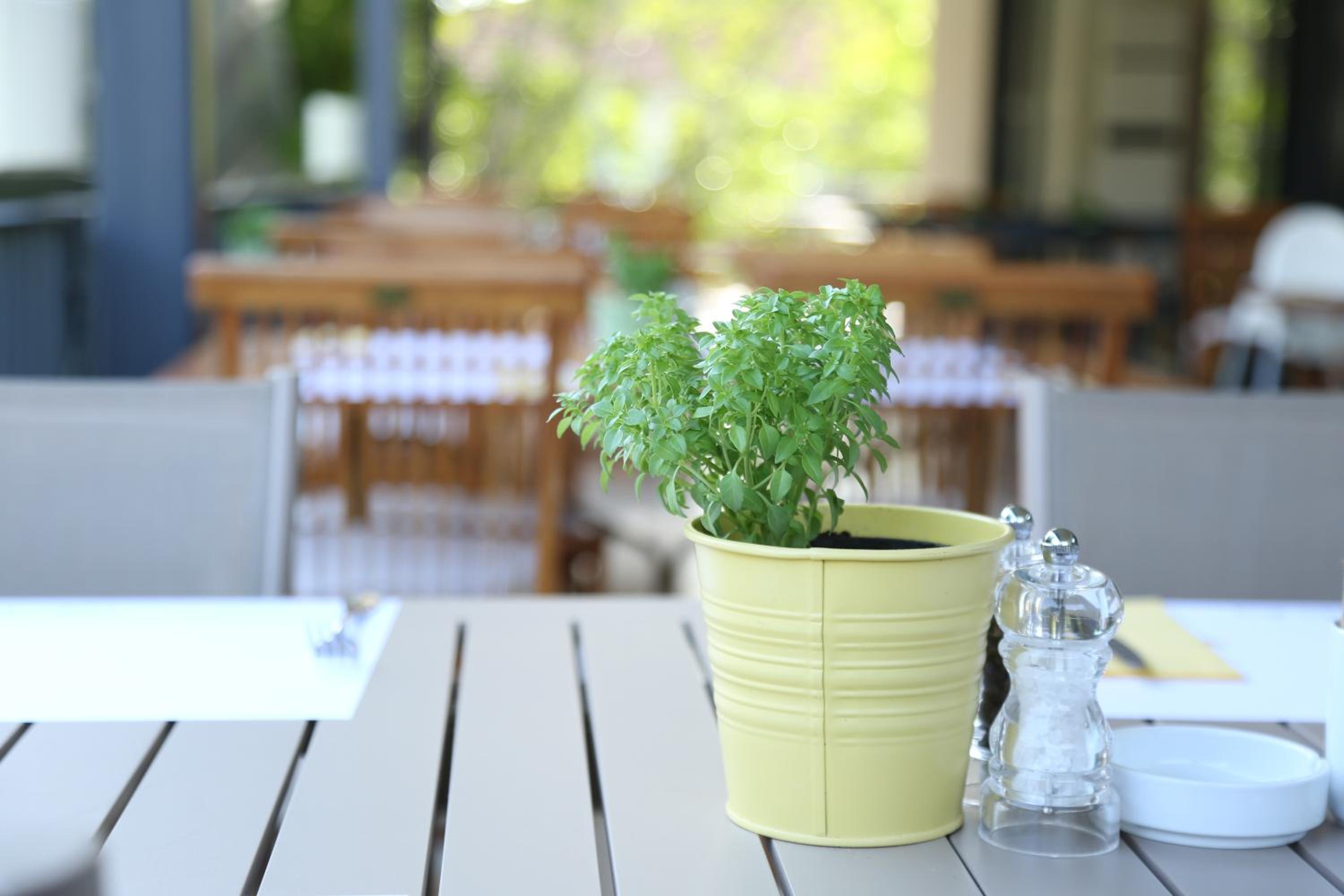 restaurant