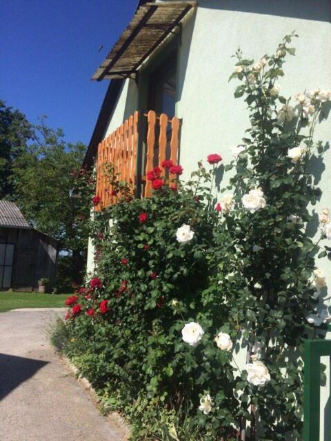 Photo 27