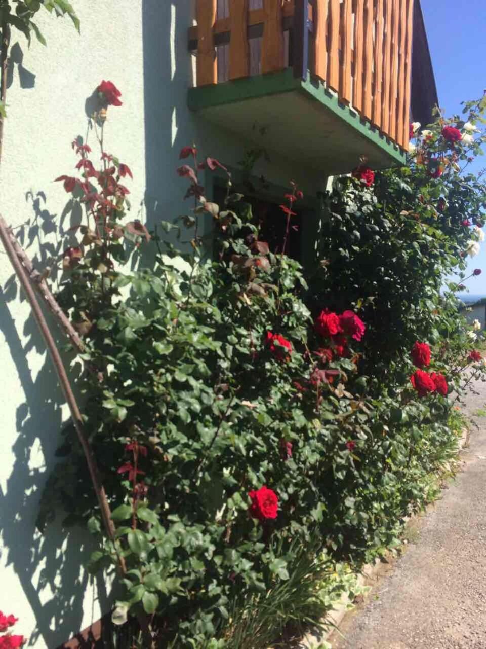 Photo 31