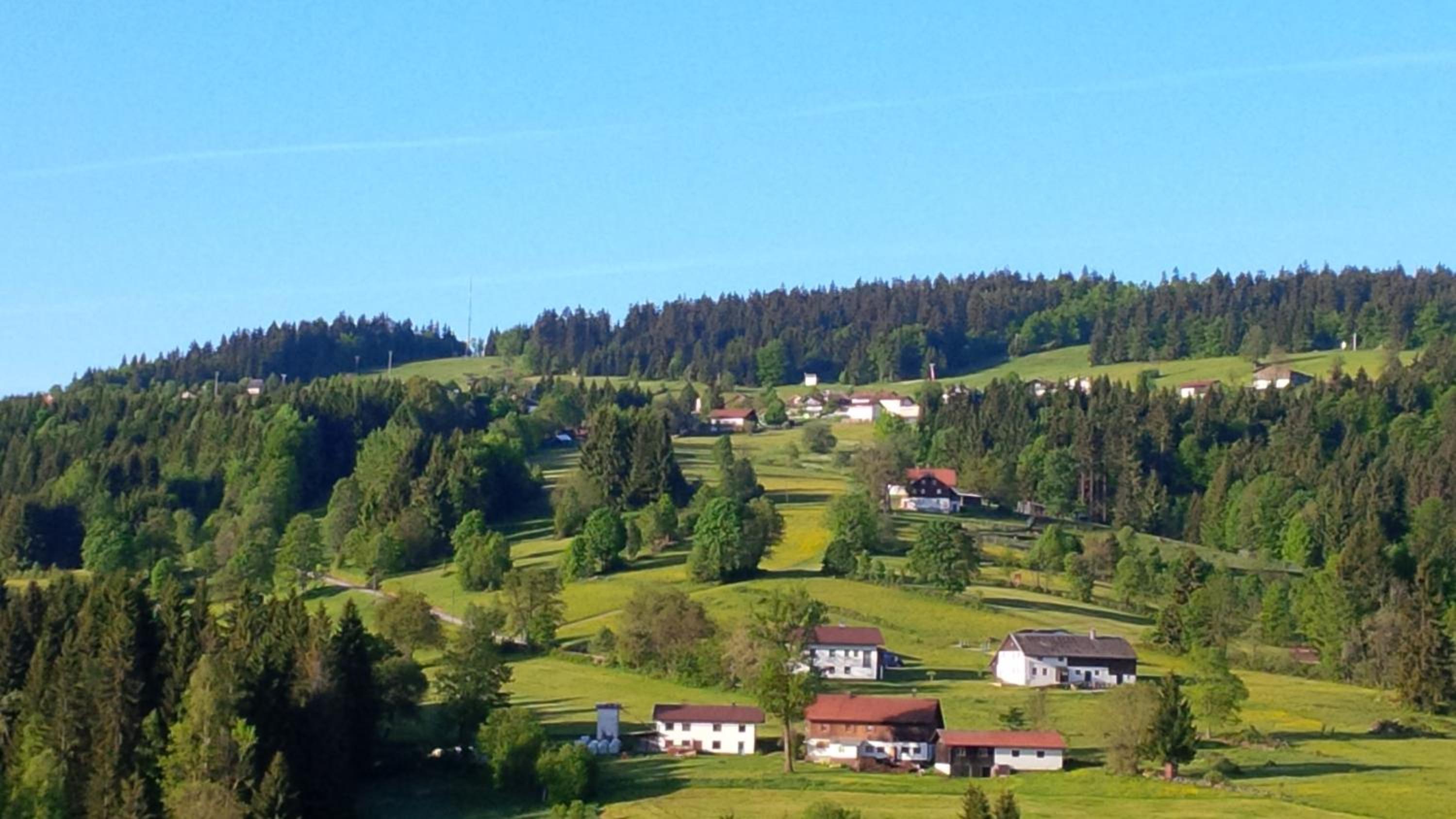 Apartman Šumava - Bavorský les view 5
