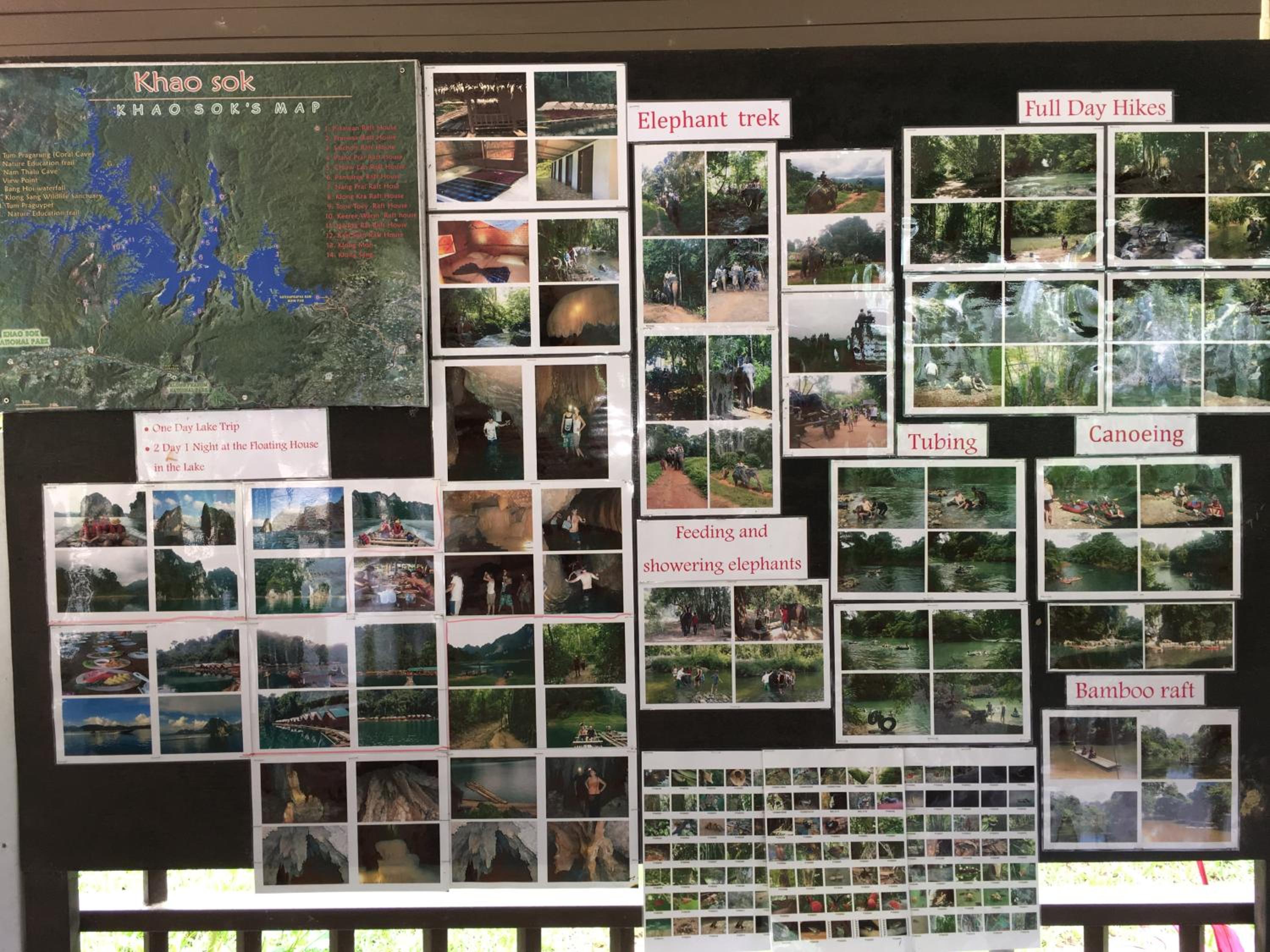 Khao Sok Palm Garden Resort