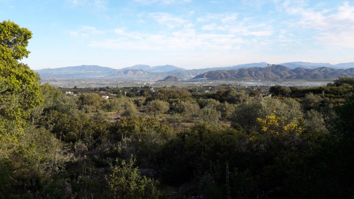 Finca Roca Vista
