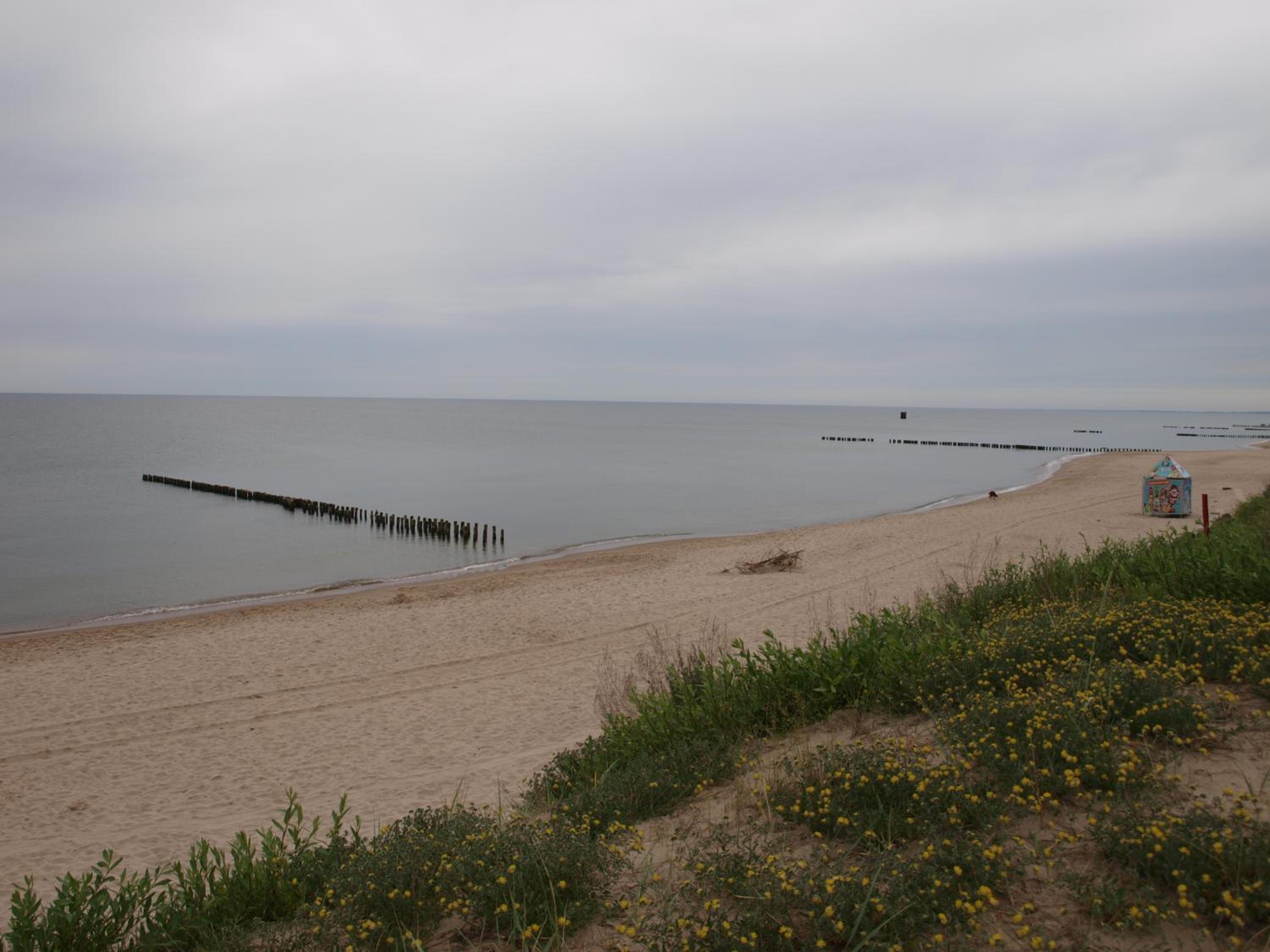 Photo 23