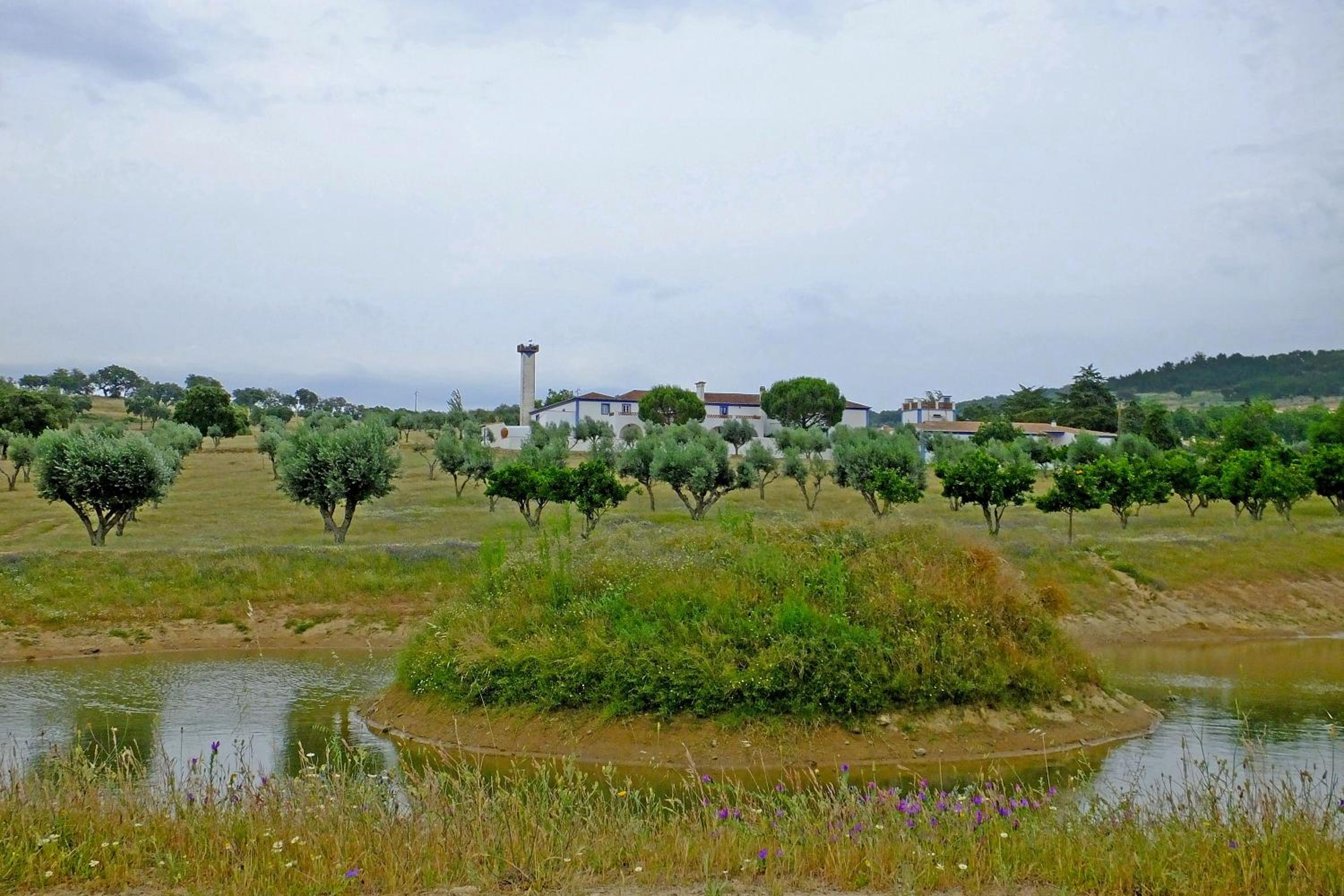 Photo 20