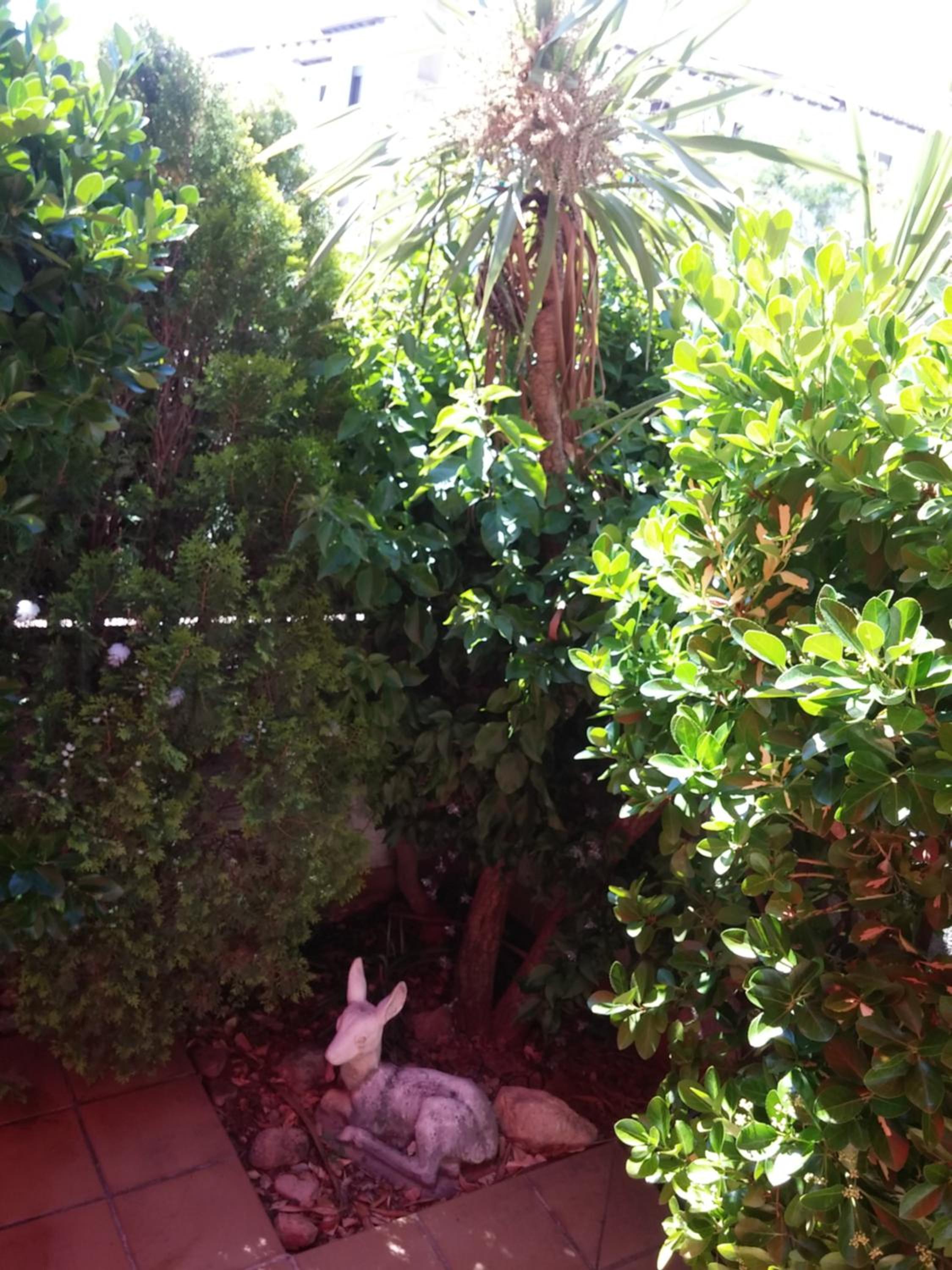 Lydia´s House view 5