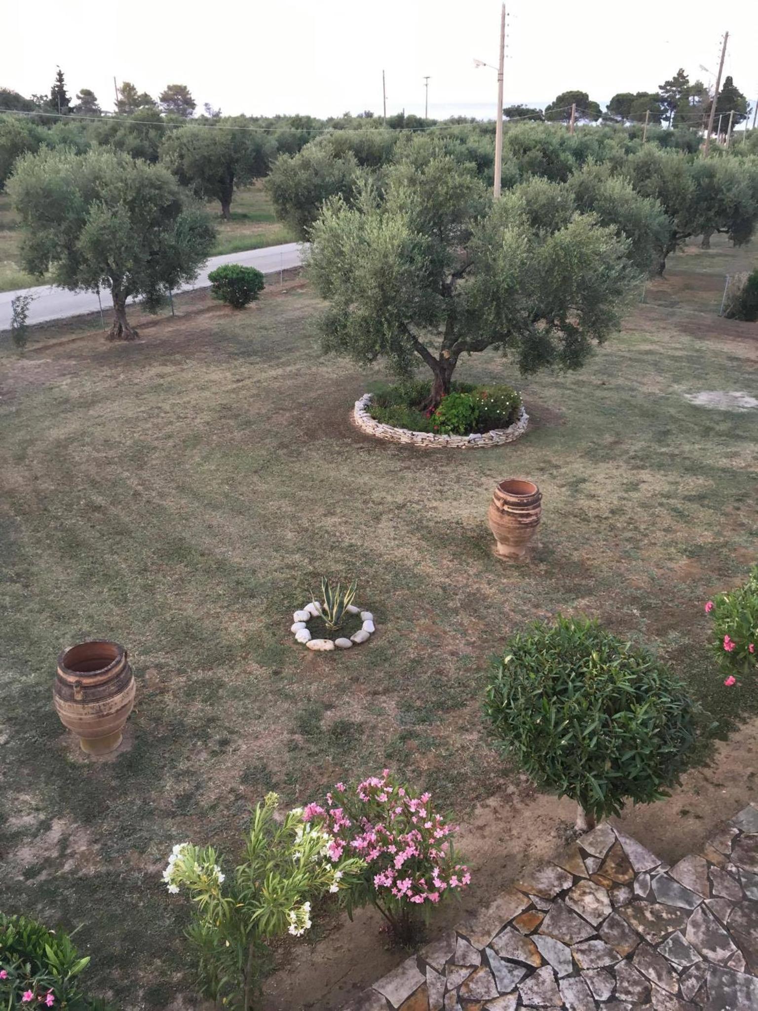 Photo 36