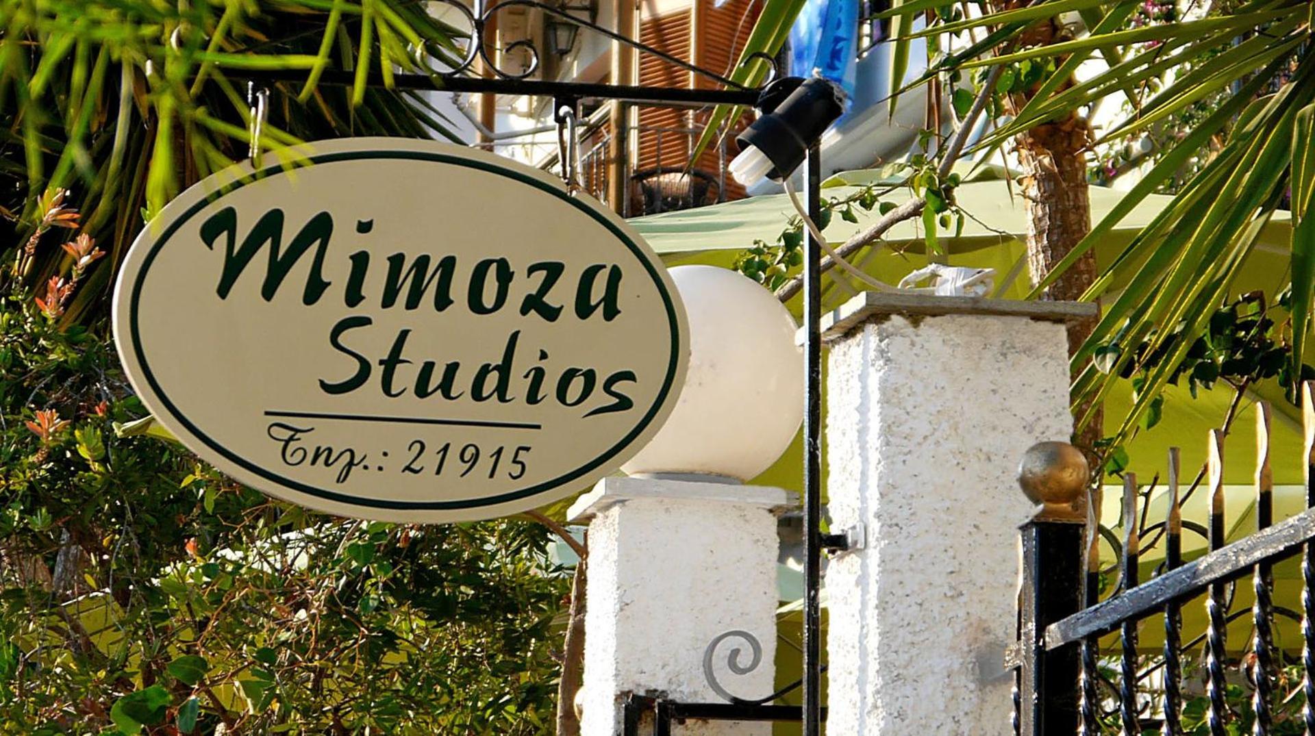 Mimoza Studios photo 4