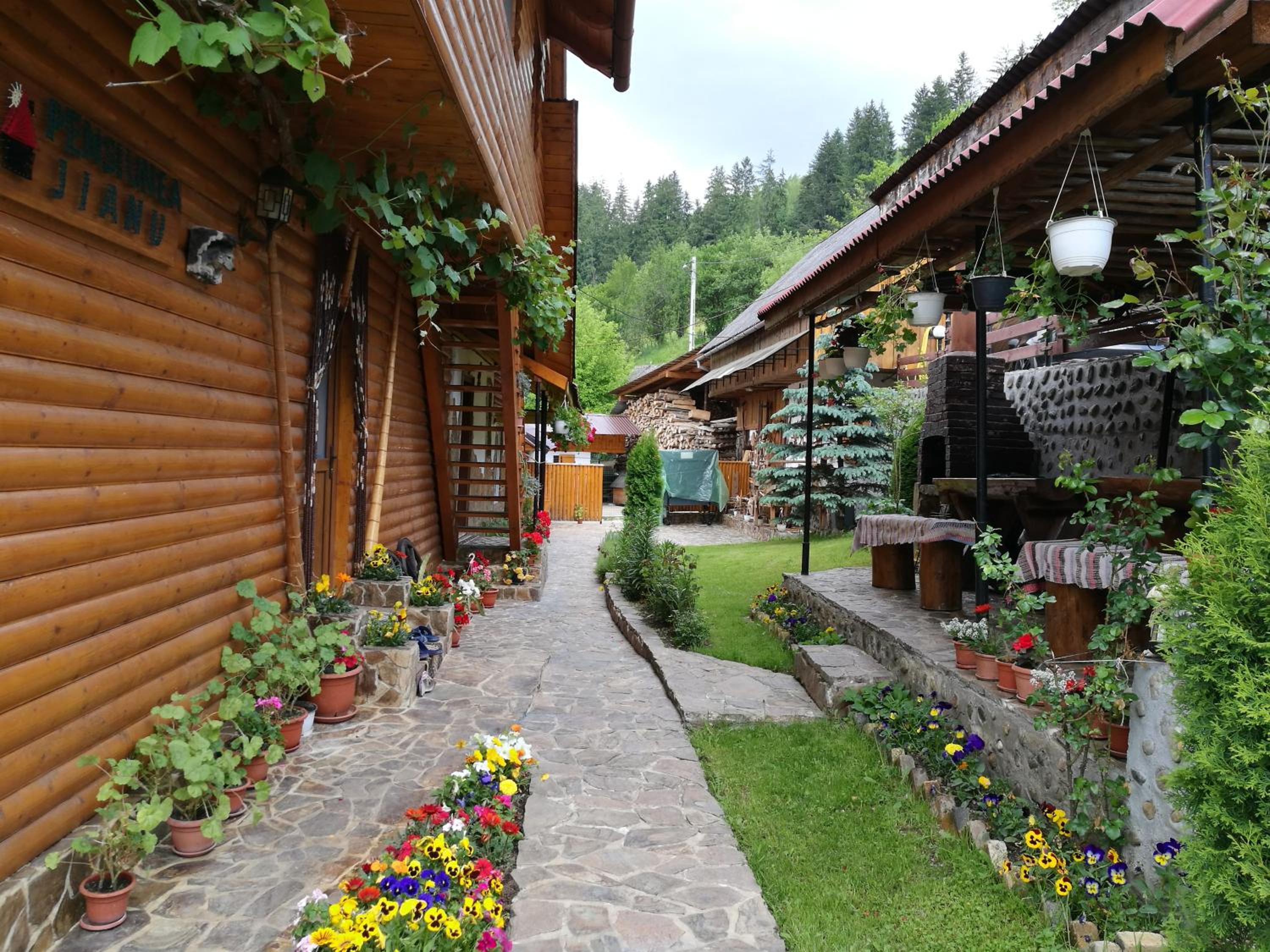 Photo 44