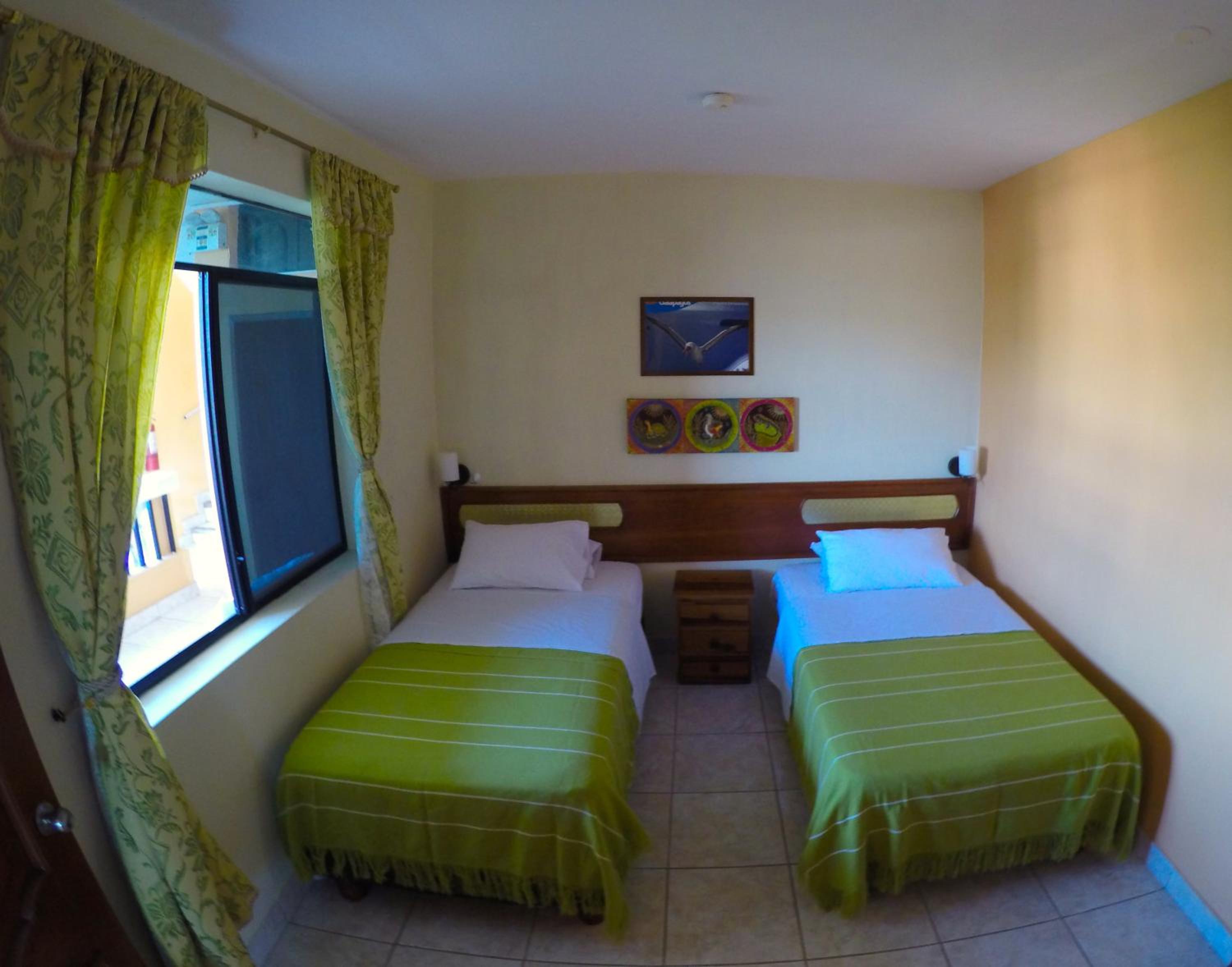Dolphin House view 4