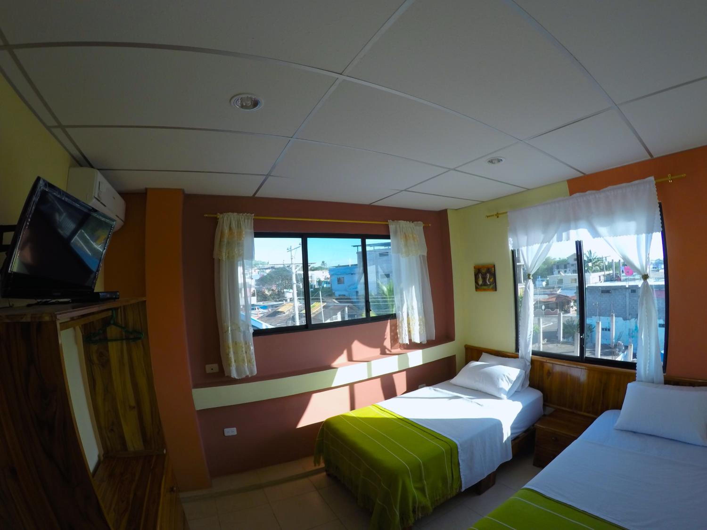 Dolphin House view 3