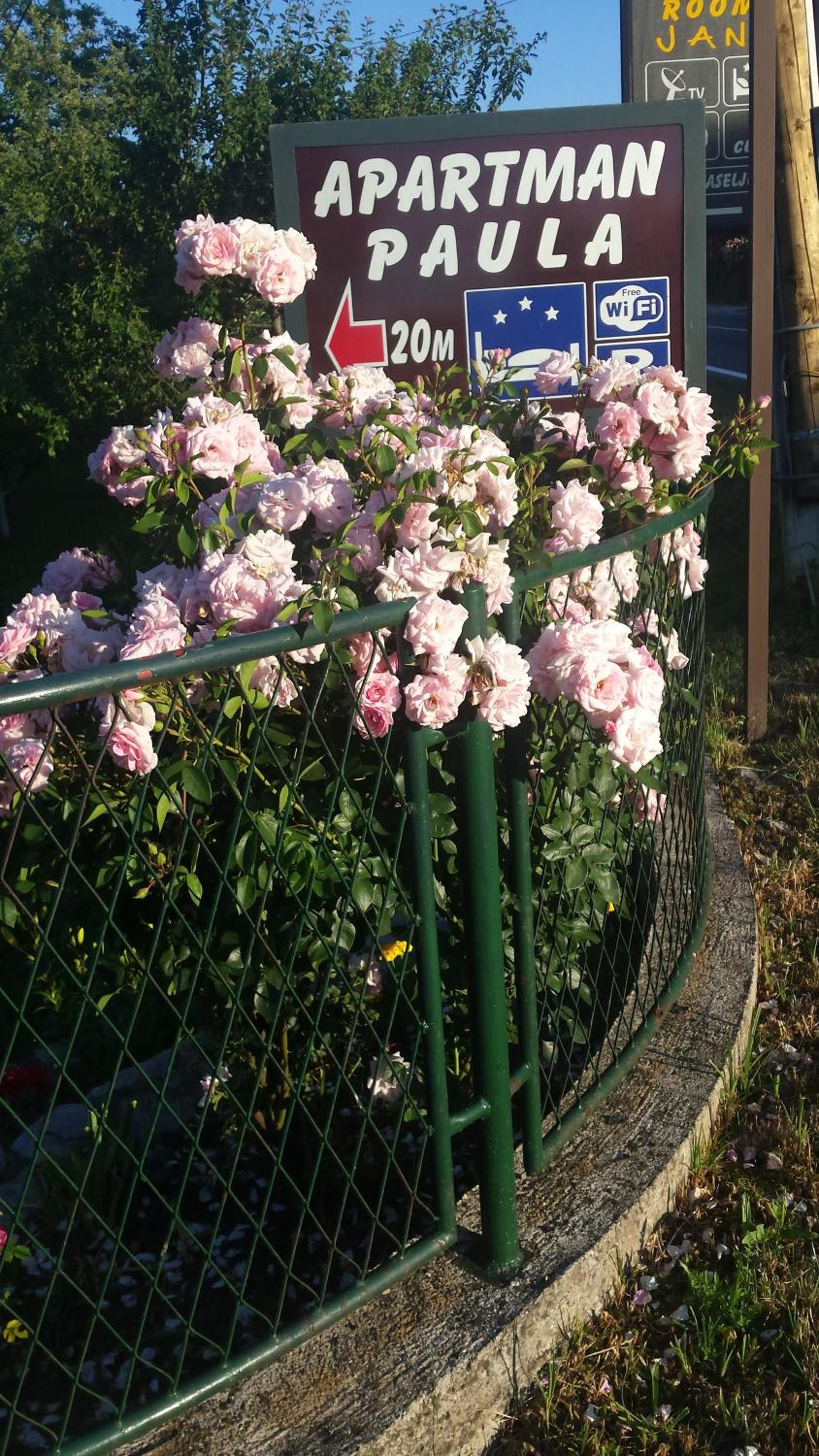 Photo 21