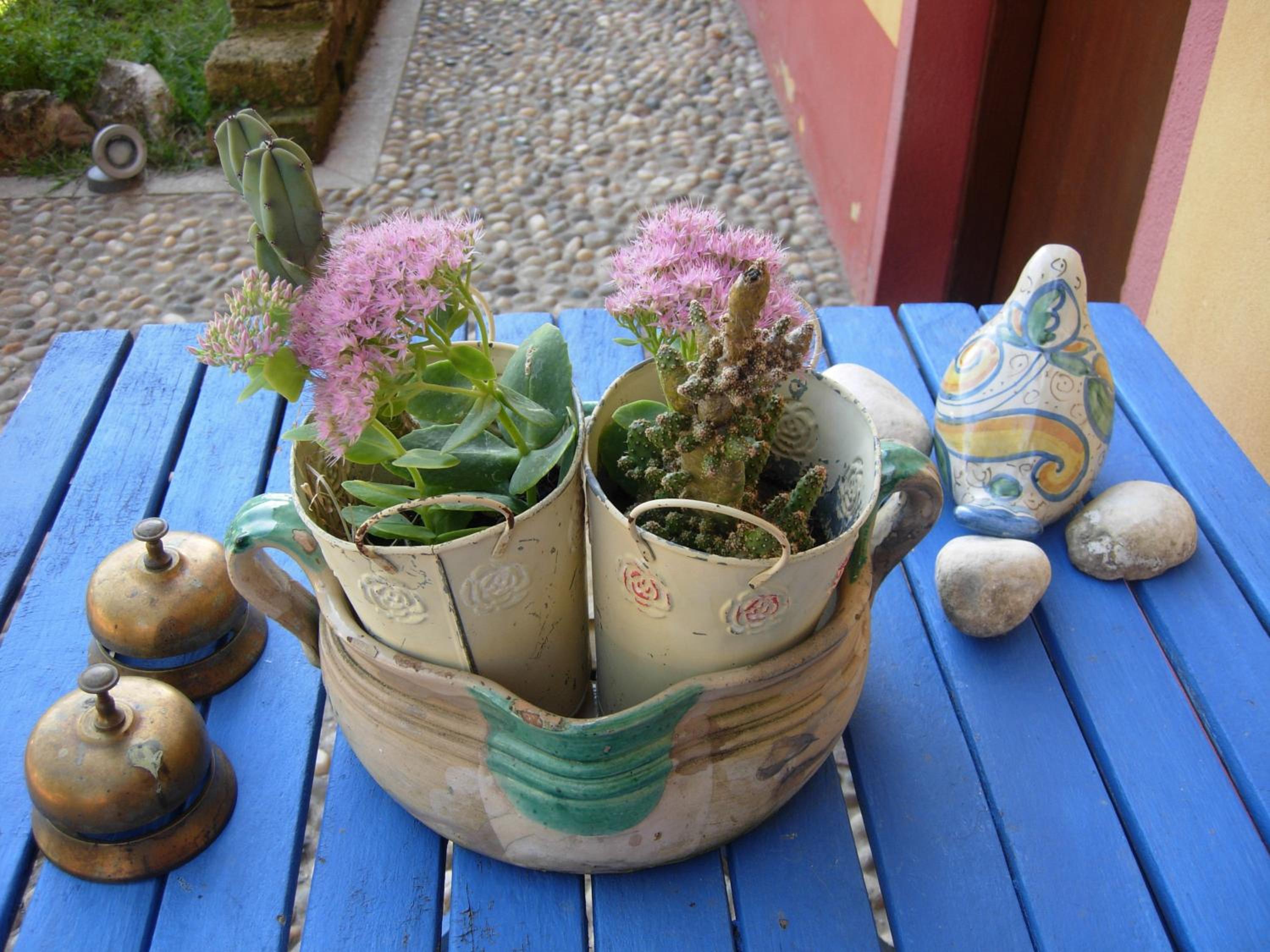 Photo 43