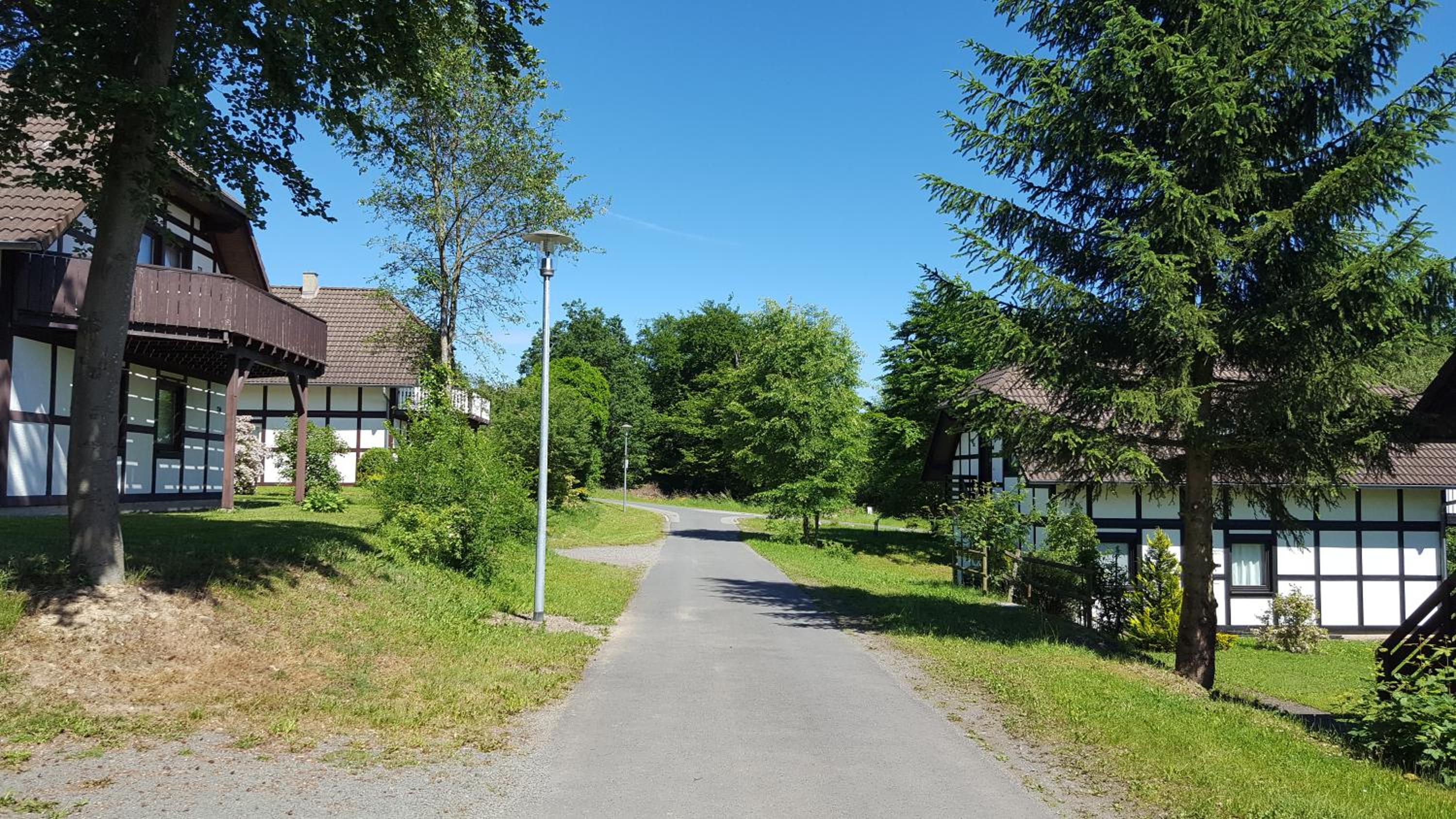 Photo 41
