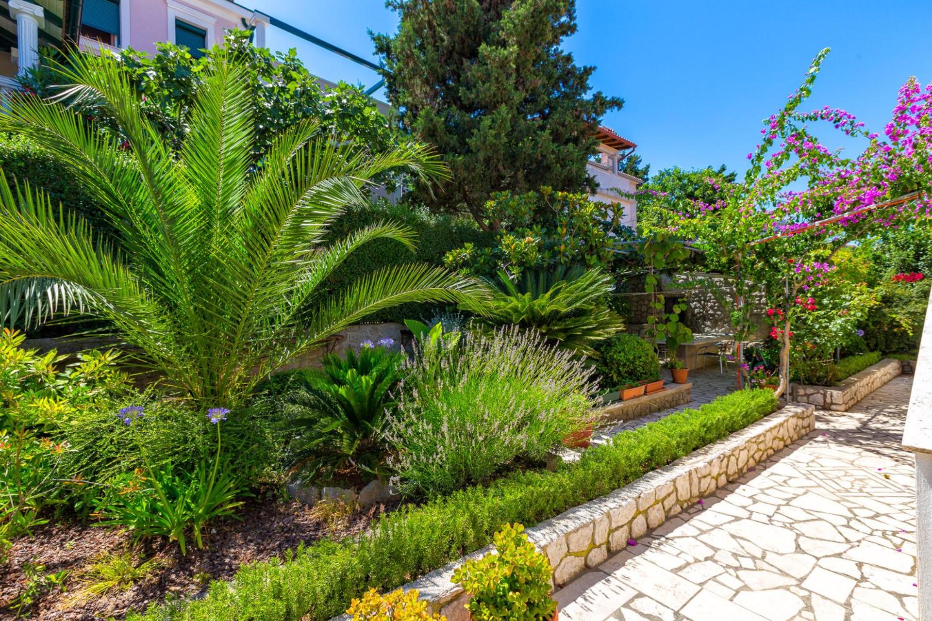 Apartmani GORDANA view 5