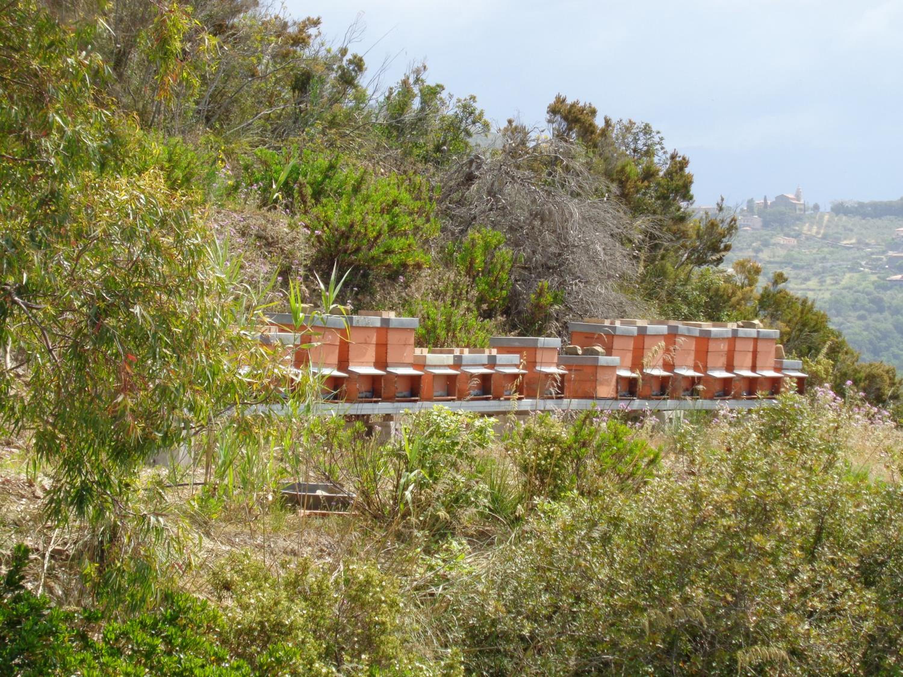 Agriturismo Le Agavi