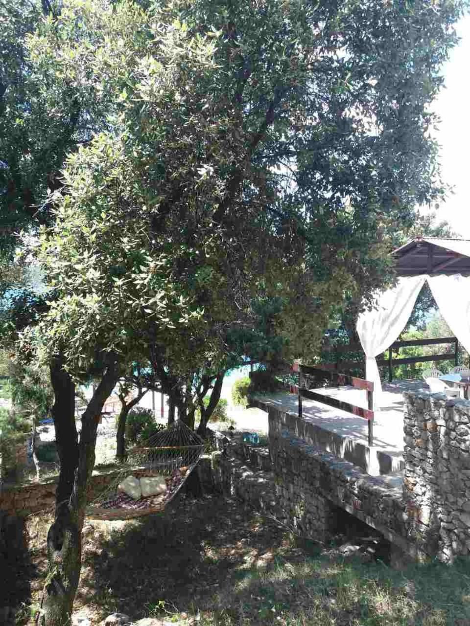 Photo 28