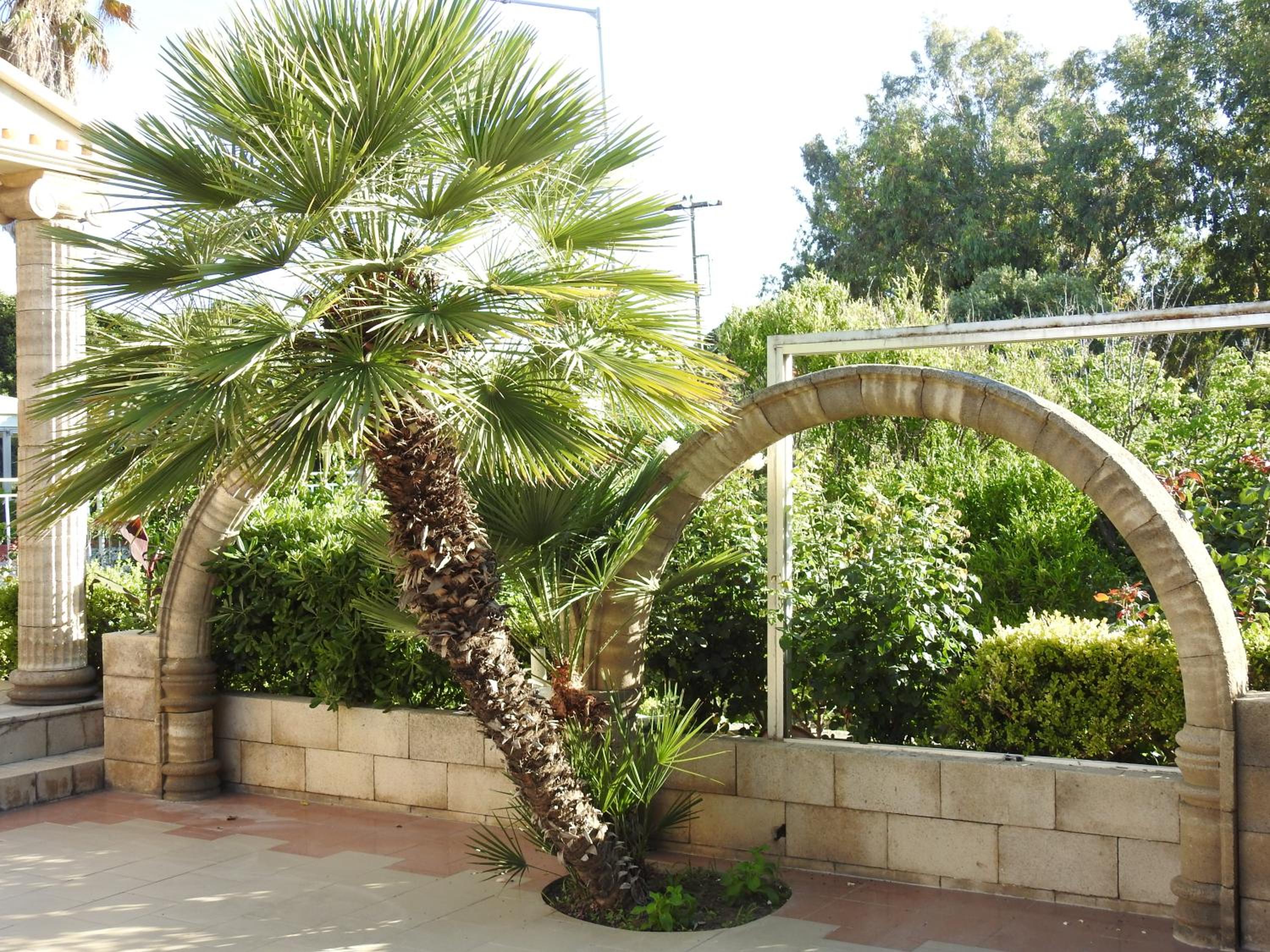 Photo 40