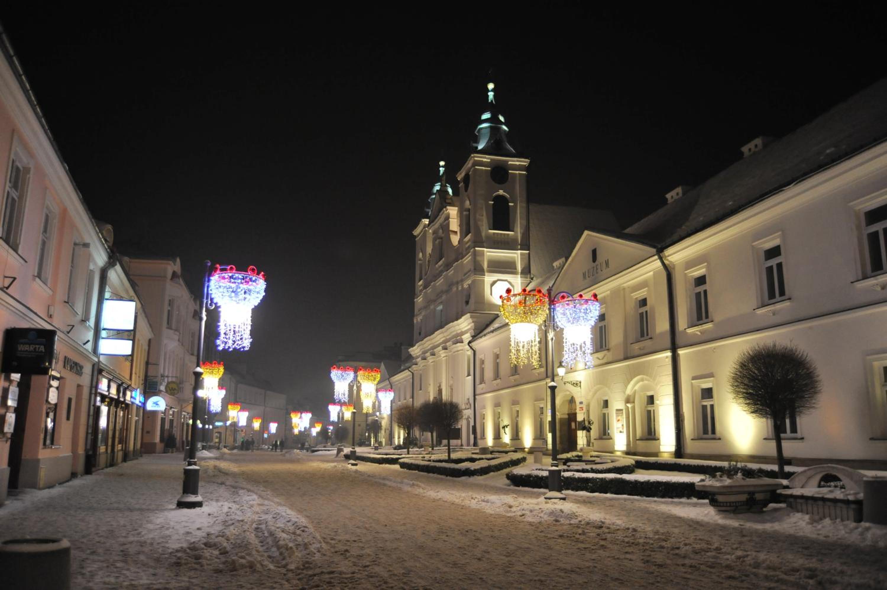 Photo 42