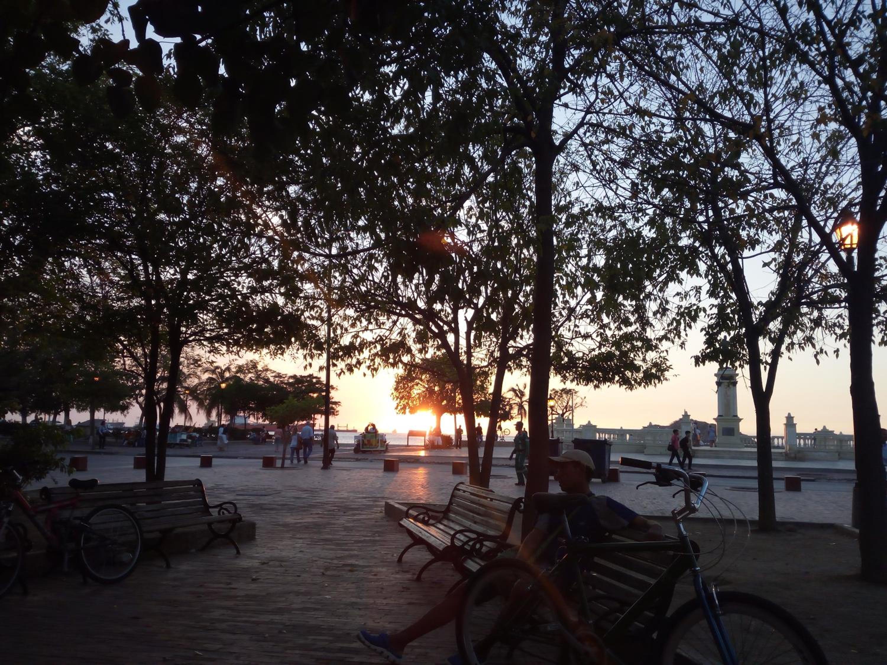 Playa Los Cocos